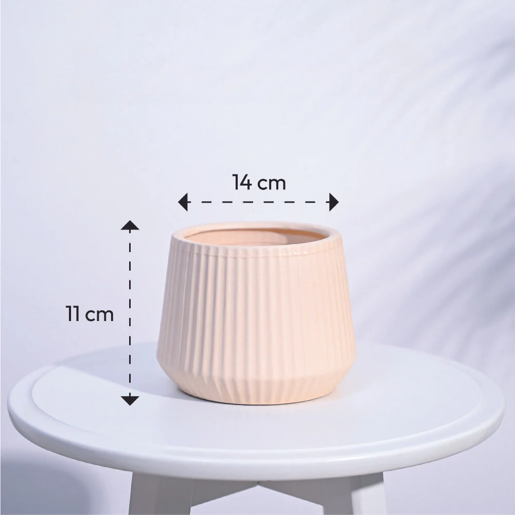 Synth Ceramic Pot - Image 12