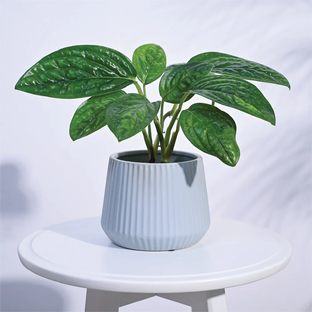 Synth Ceramic Pot - Image 13