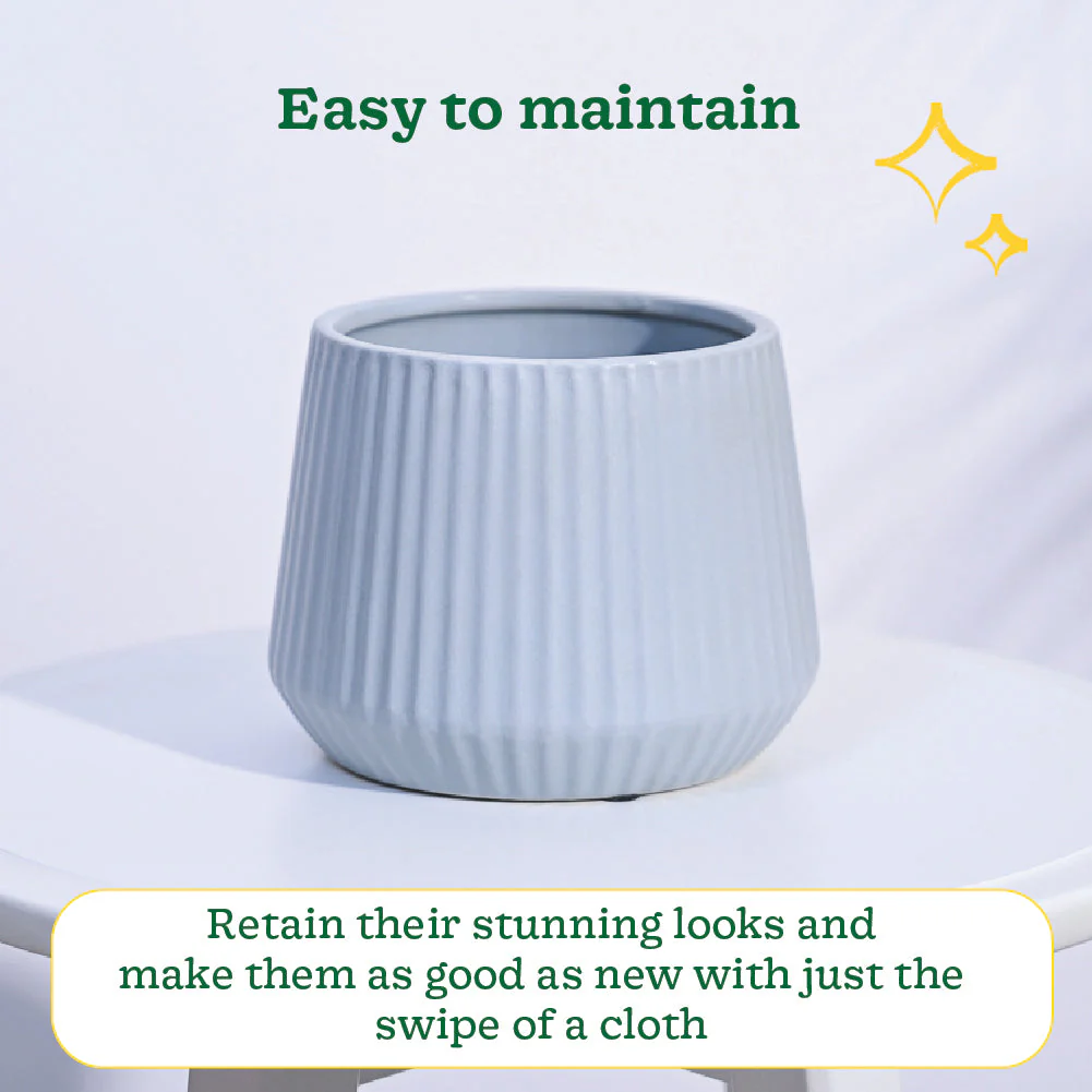 Synth Ceramic Pot - Image 15