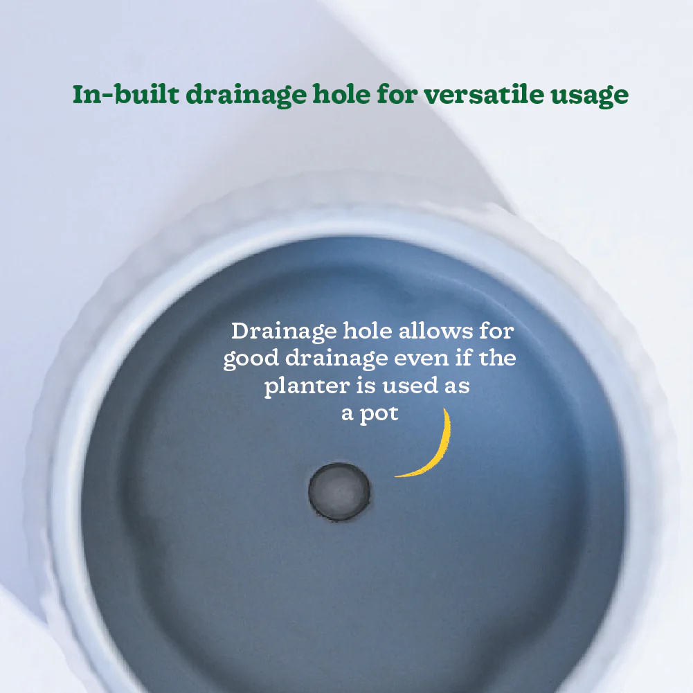 Synth Ceramic Pot - Image 17
