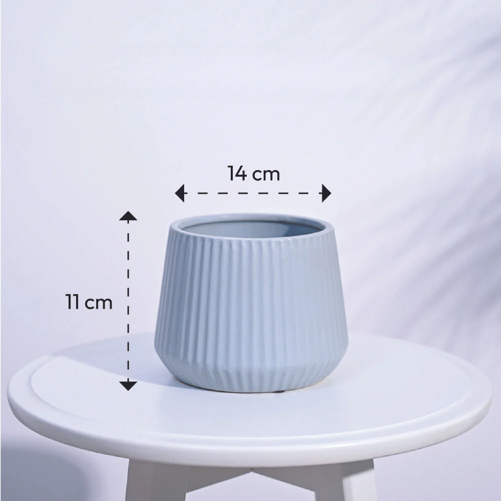 Synth Ceramic Pot - Image 18