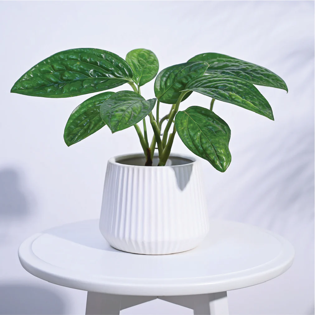 Synth Ceramic Pot - Image 19