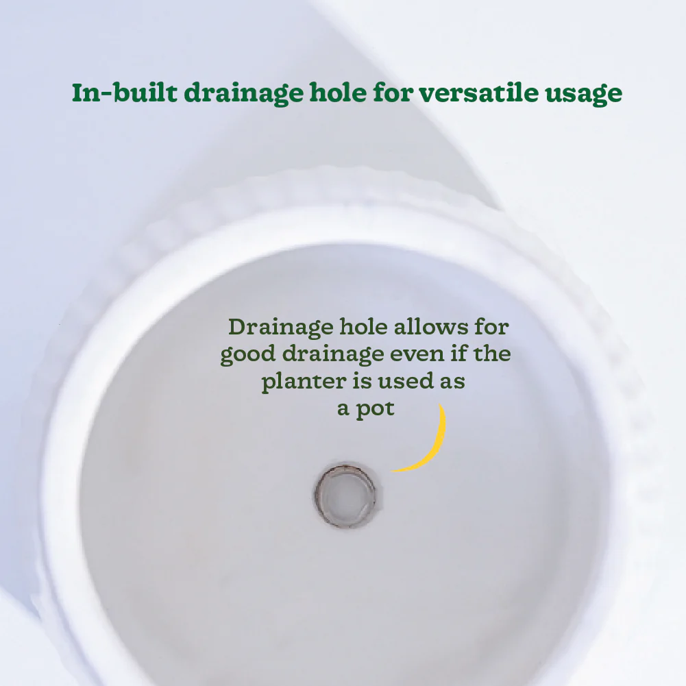 Synth Ceramic Pot - Image 21