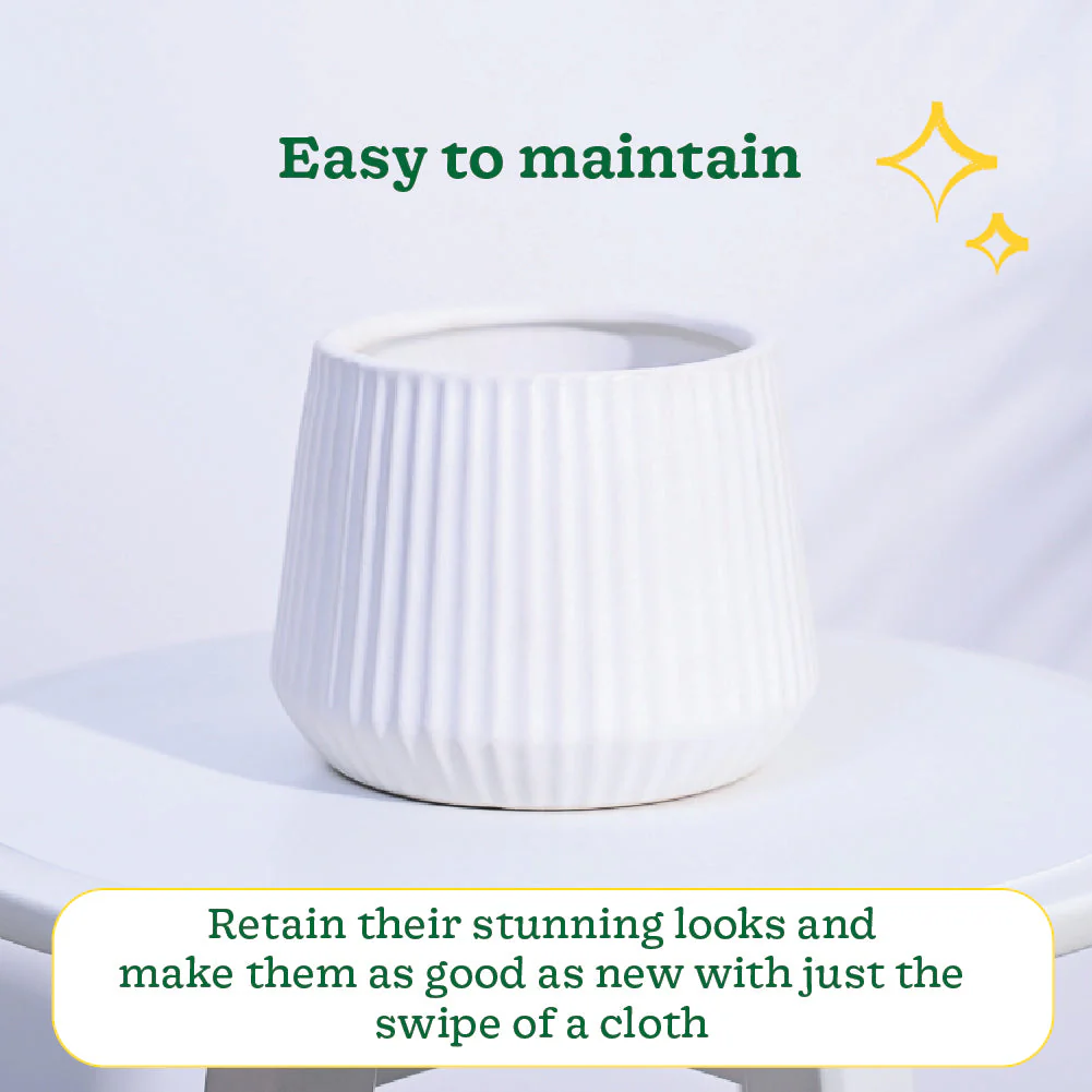 Synth Ceramic Pot - Image 23
