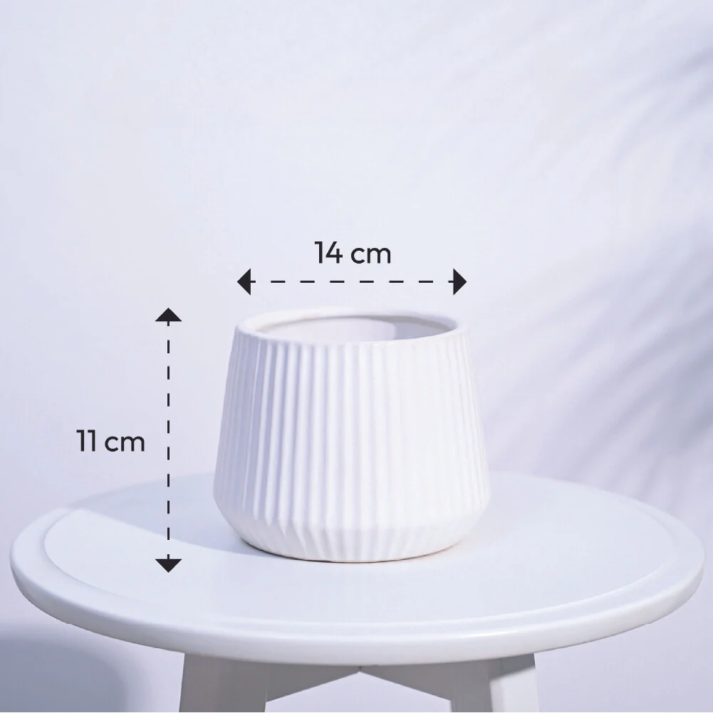 Synth Ceramic Pot - Image 24