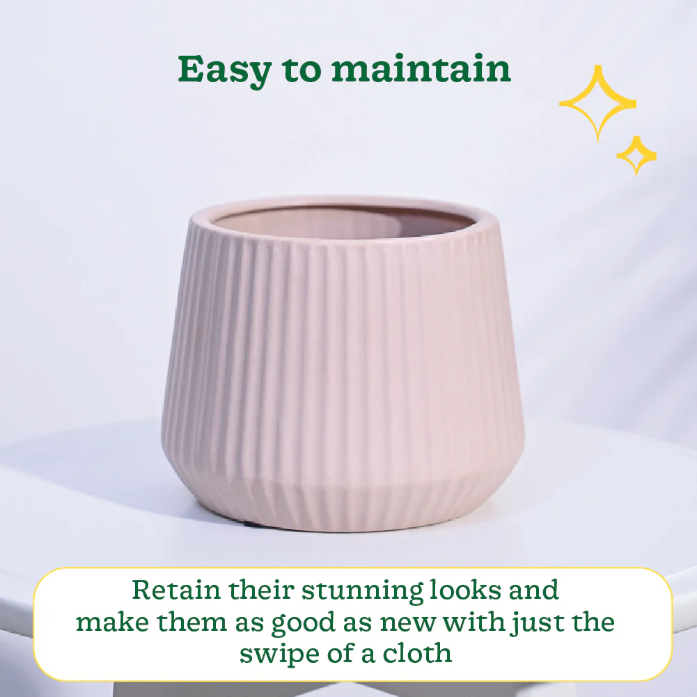 Synth Ceramic Pot - Image 3