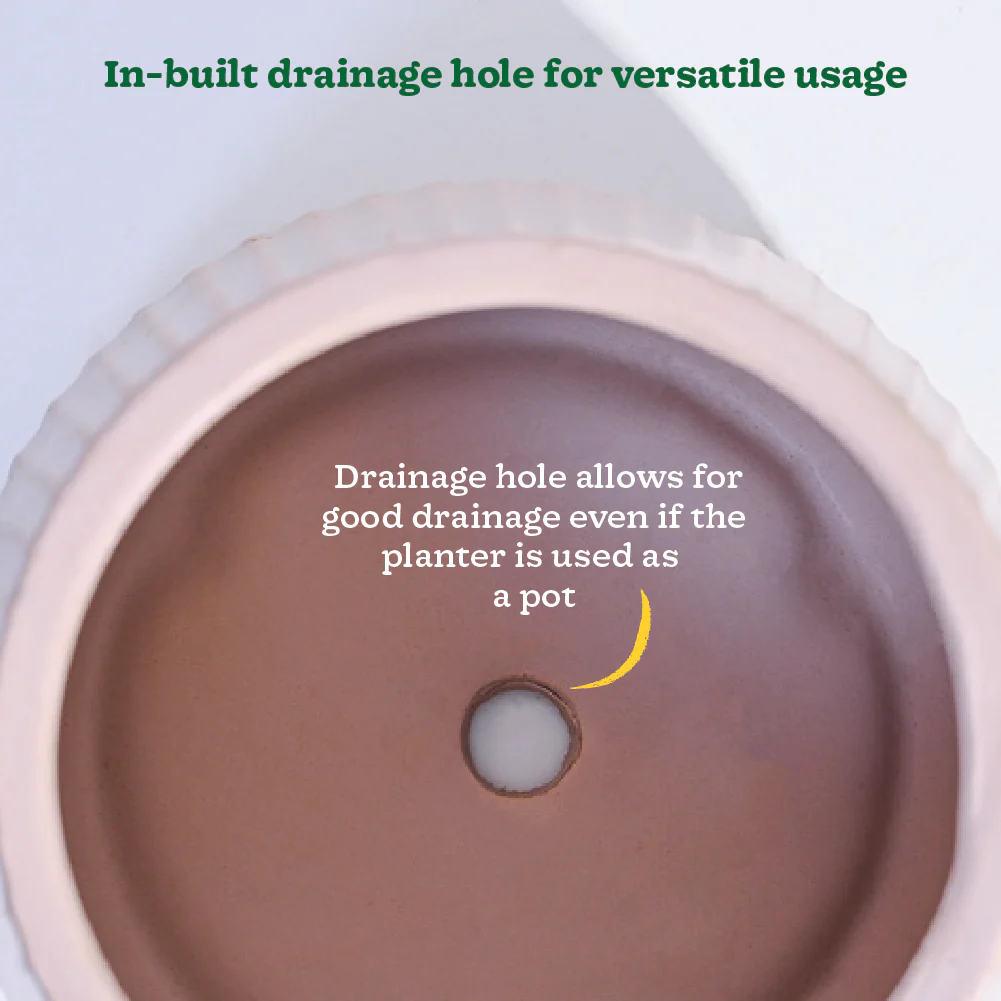 Synth Ceramic Pot - Image 5