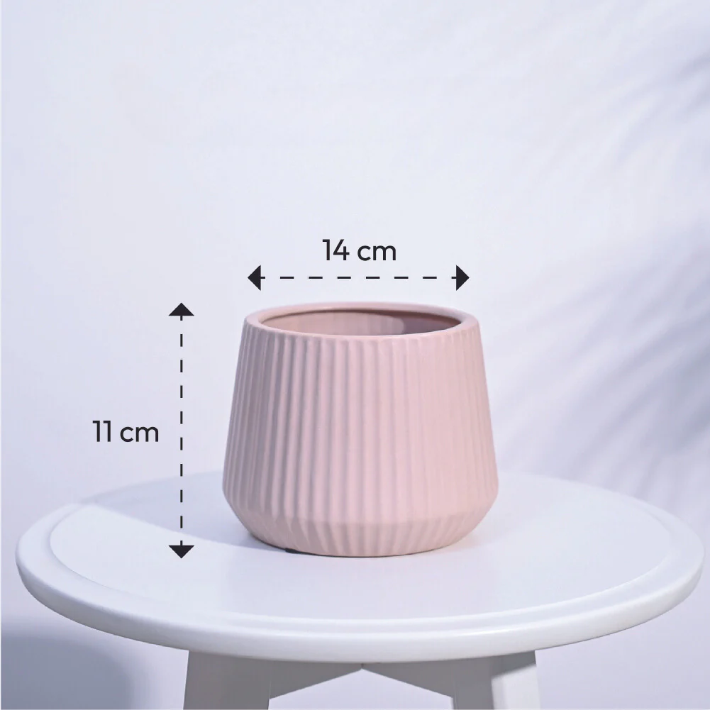 Synth Ceramic Pot - Image 6