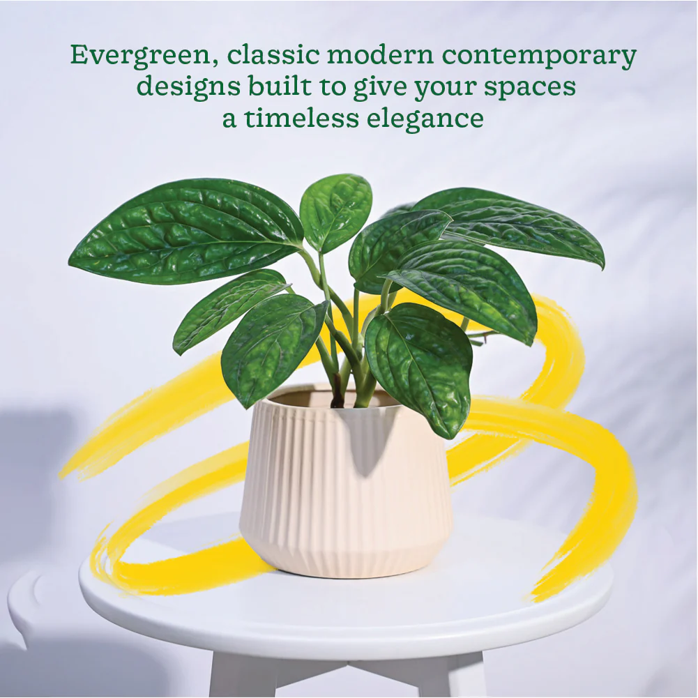 Synth Ceramic Pot - Image 8