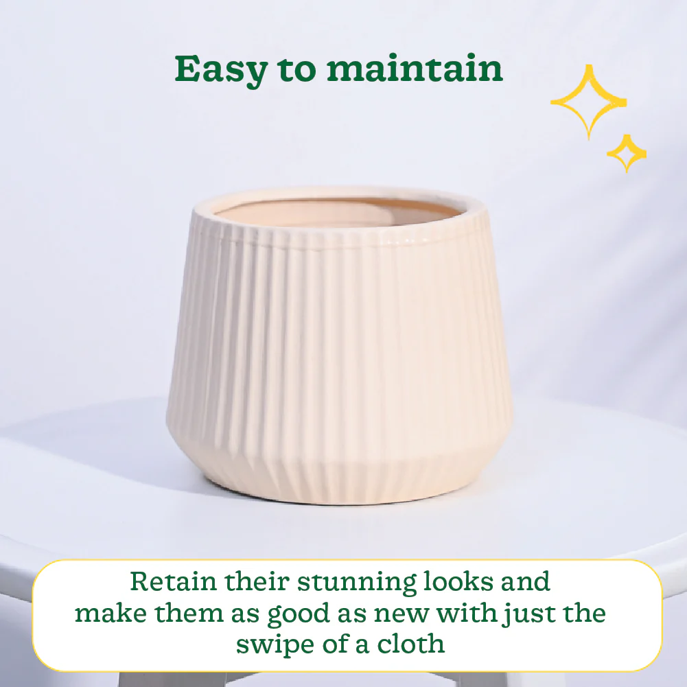 Synth Ceramic Pot - Image 9