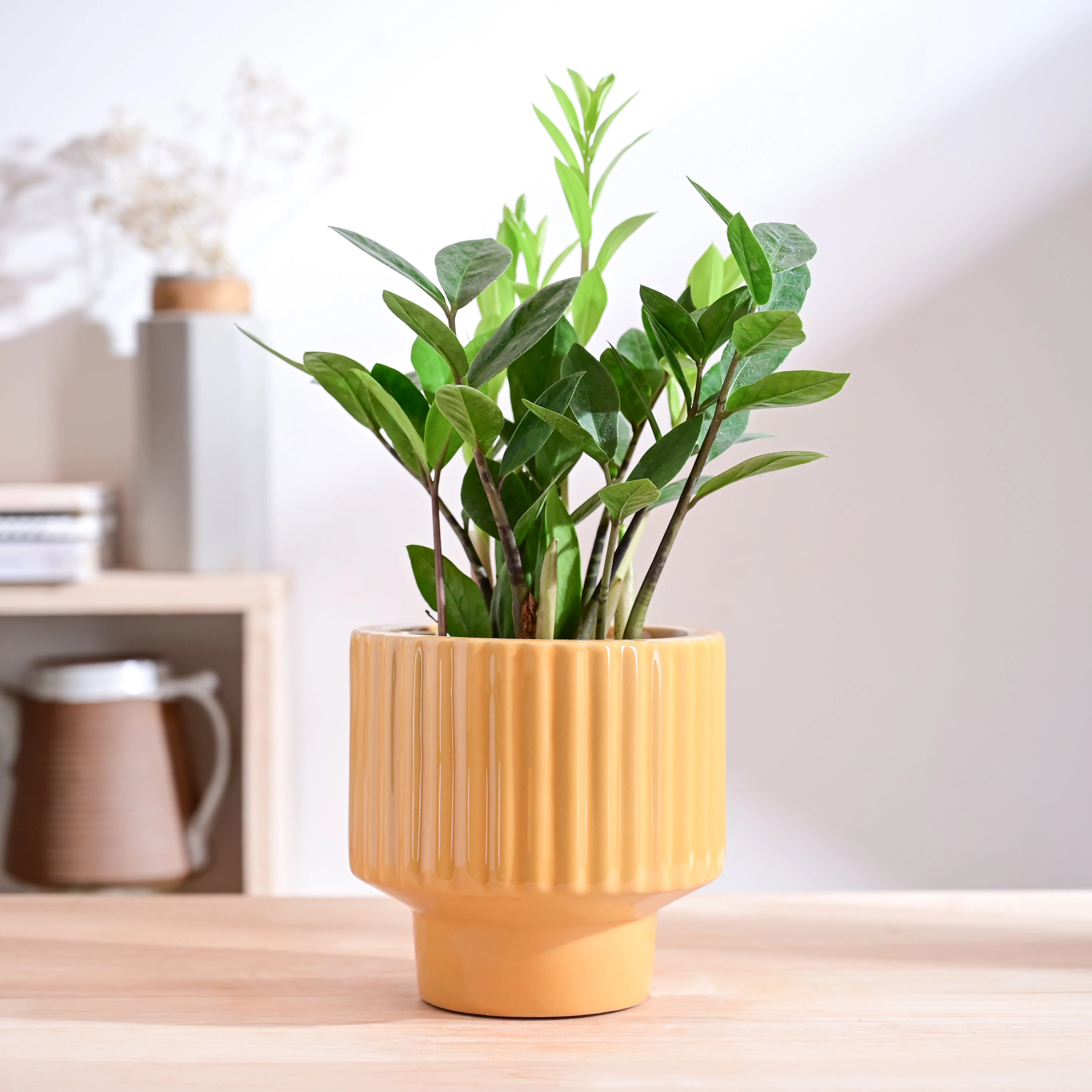 Forms of Love Ceramic Planter - Image 17