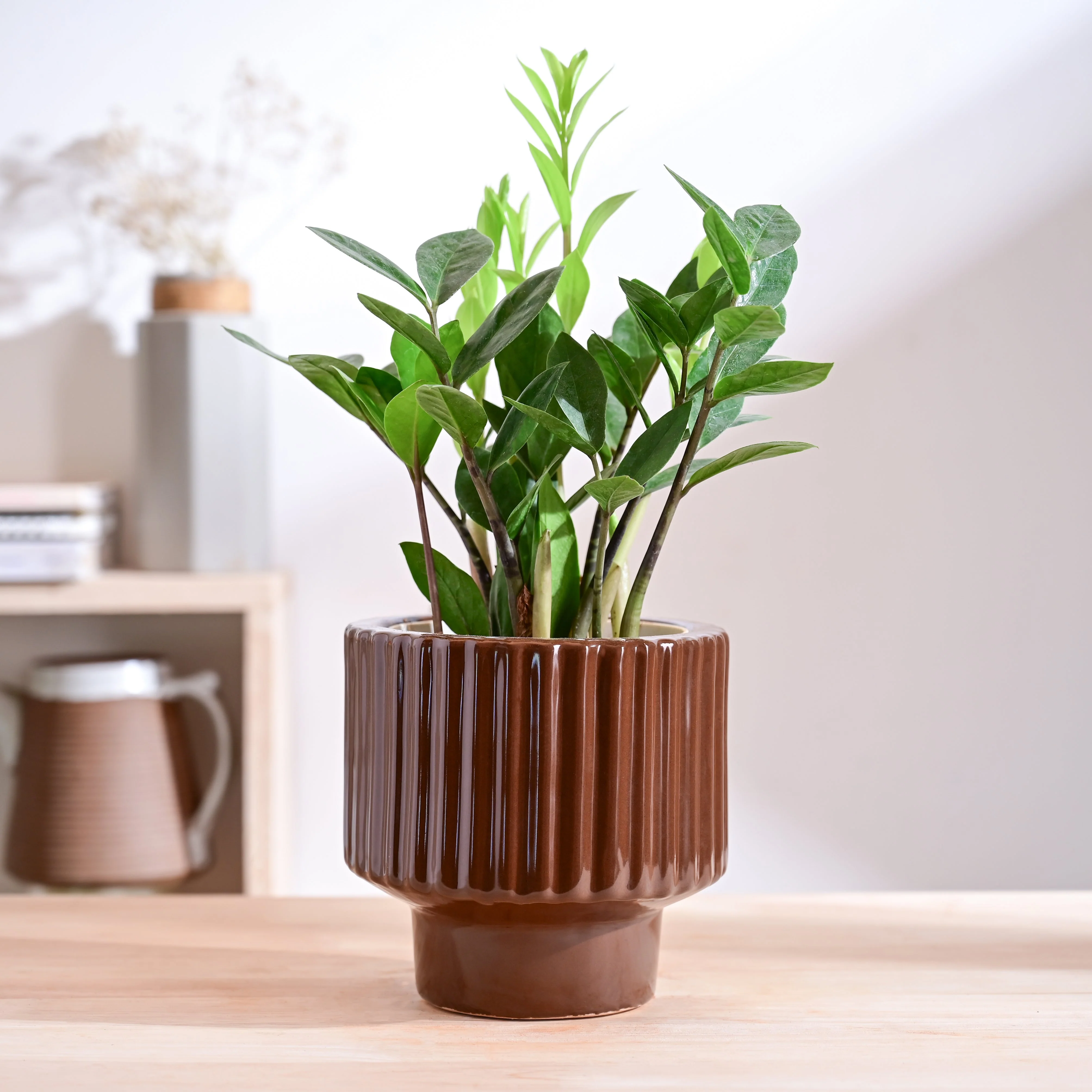 Forms of Love Ceramic Planter - Image 33