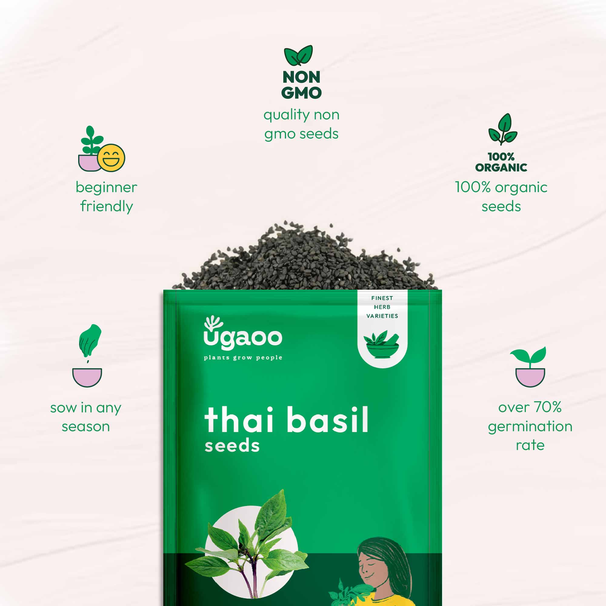 Thai Basil (1000 Seeds) - Image 6