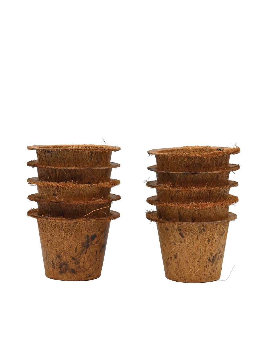 The Ugaoo Coco Coir Pots