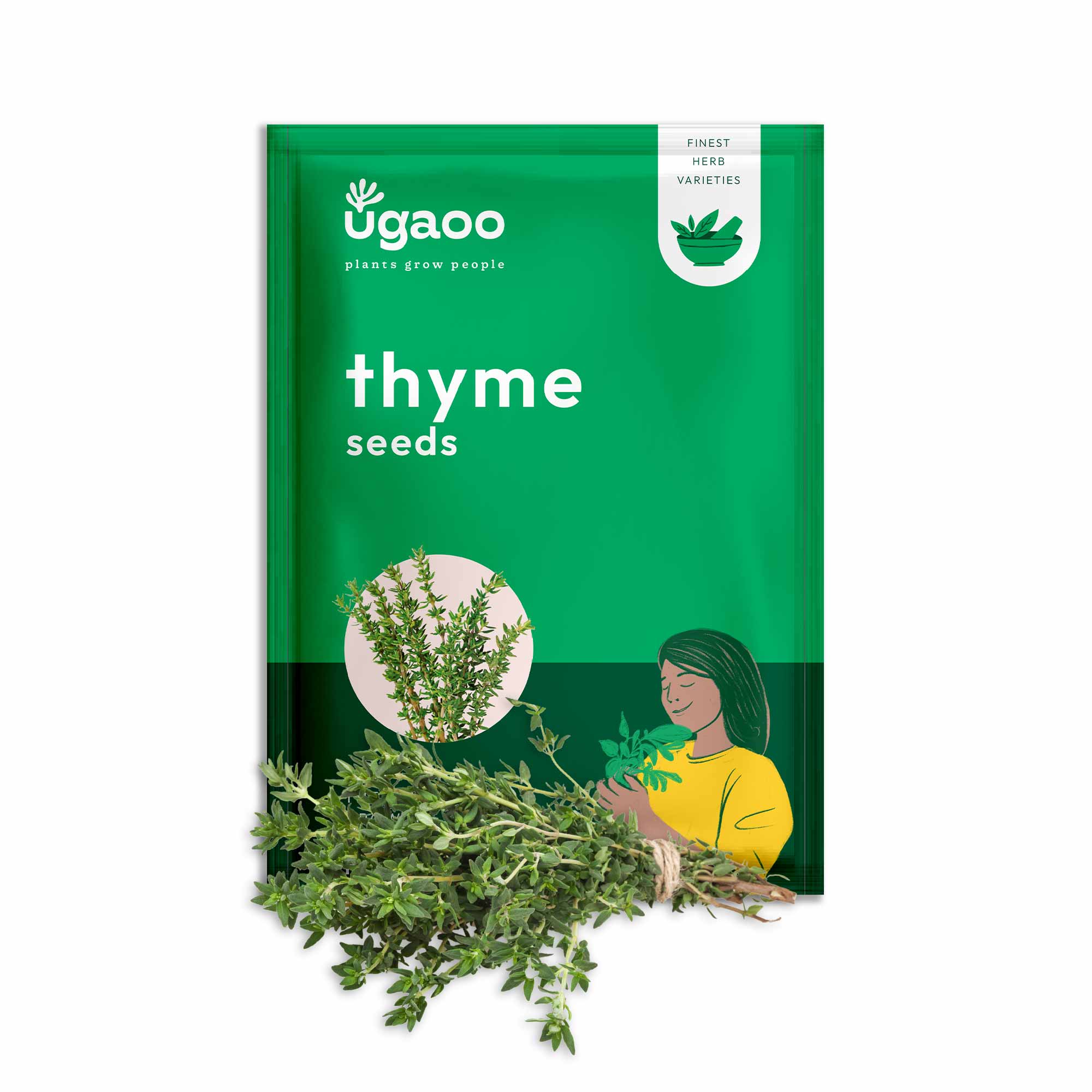 Thyme Seeds - Image 2