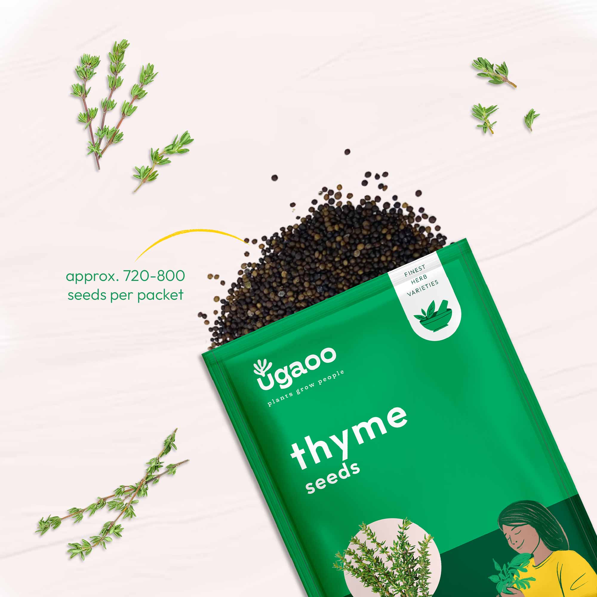 Thyme Seeds - Image 3