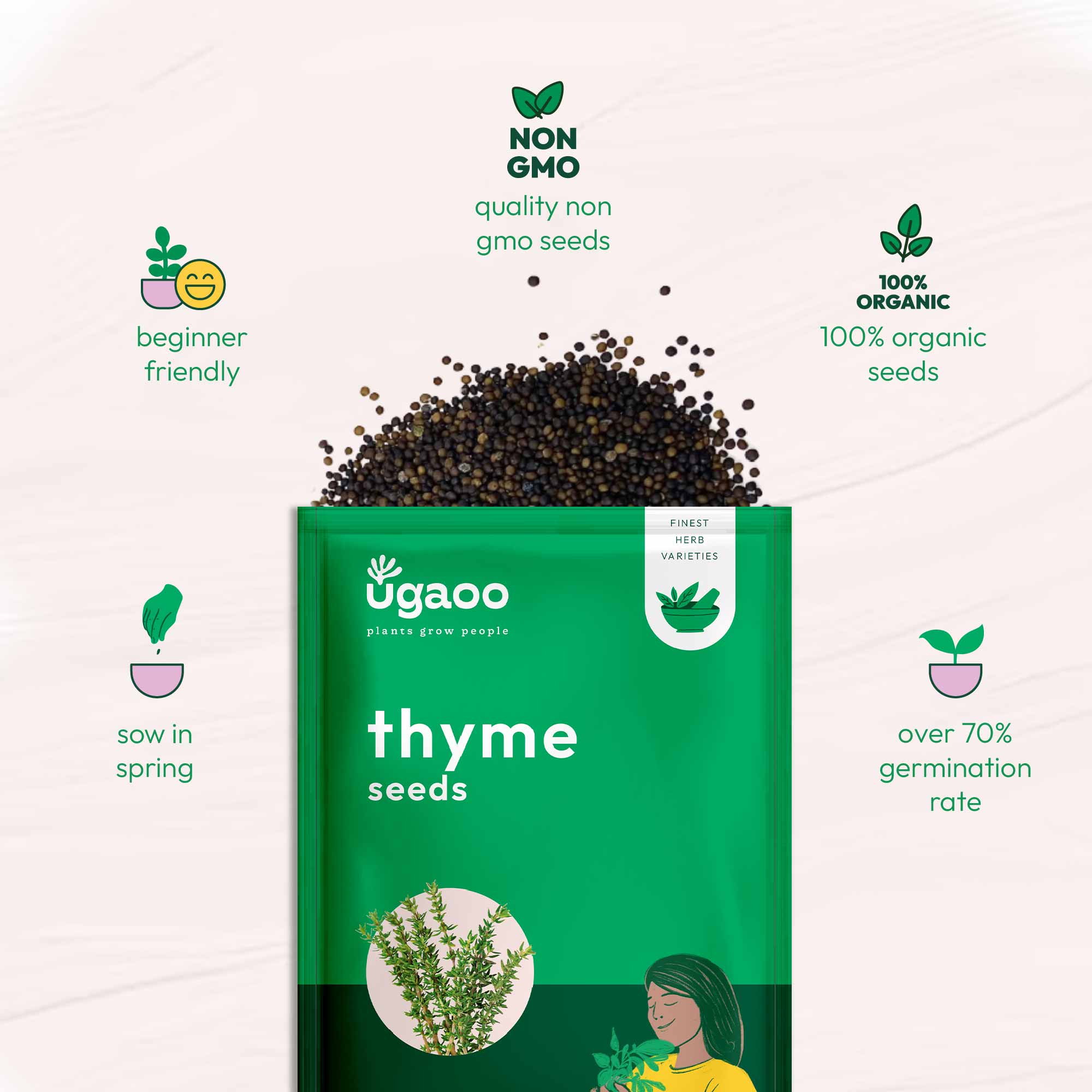 Thyme Seeds - Image 6