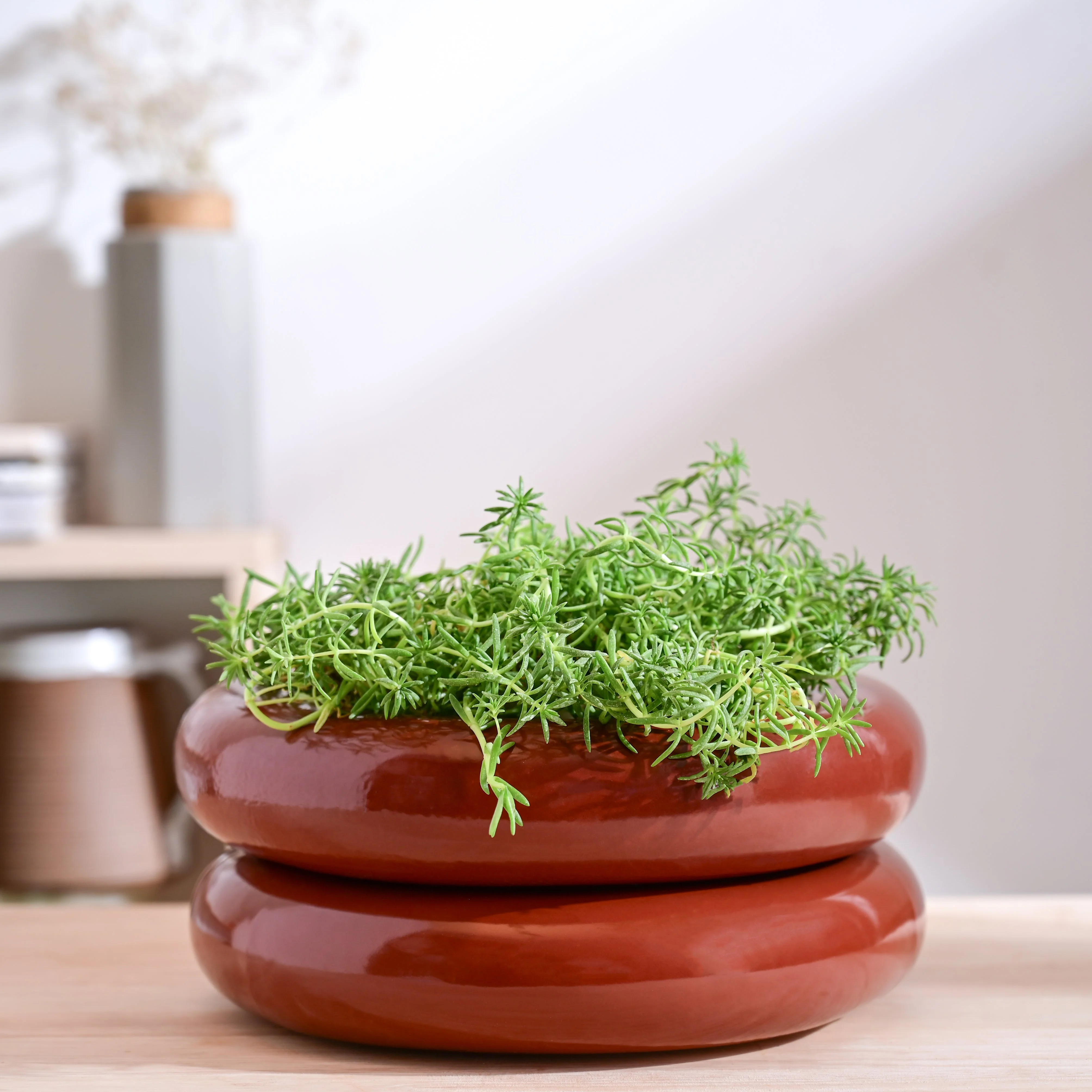 Tiny Kisses Ceramic Planter