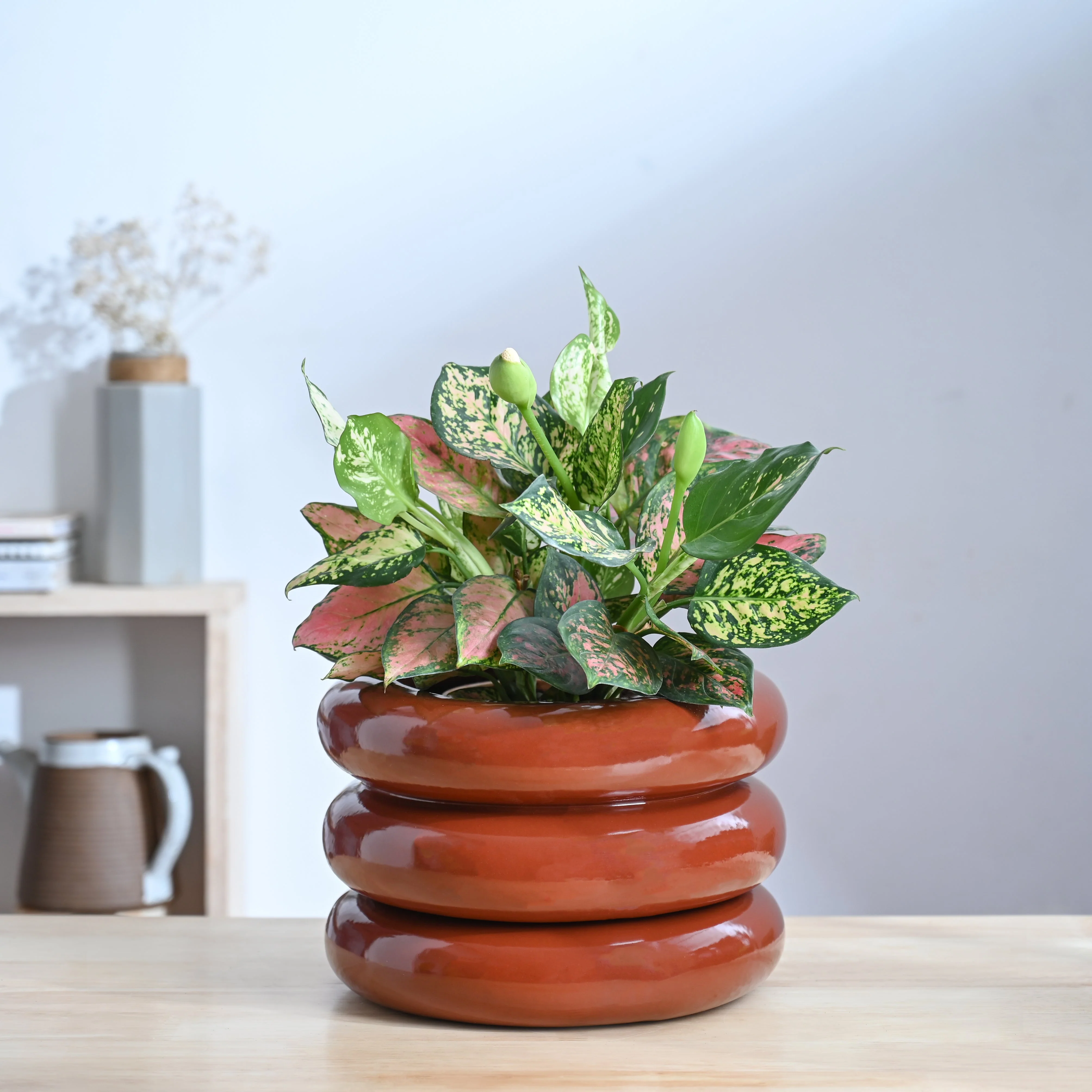 Tiny Kisses Ceramic Planter - Image 17