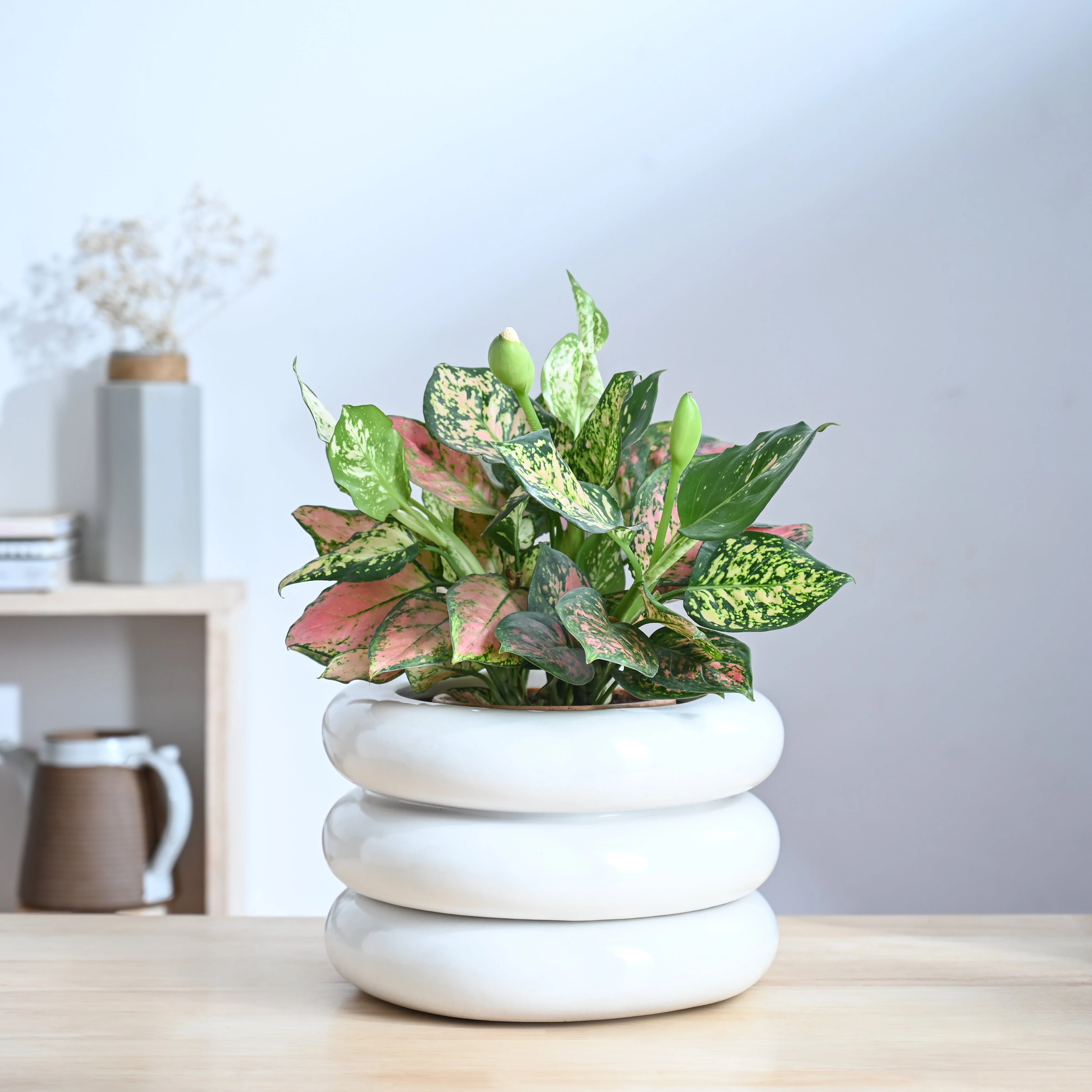 Tiny Kisses Ceramic Planter - Image 25