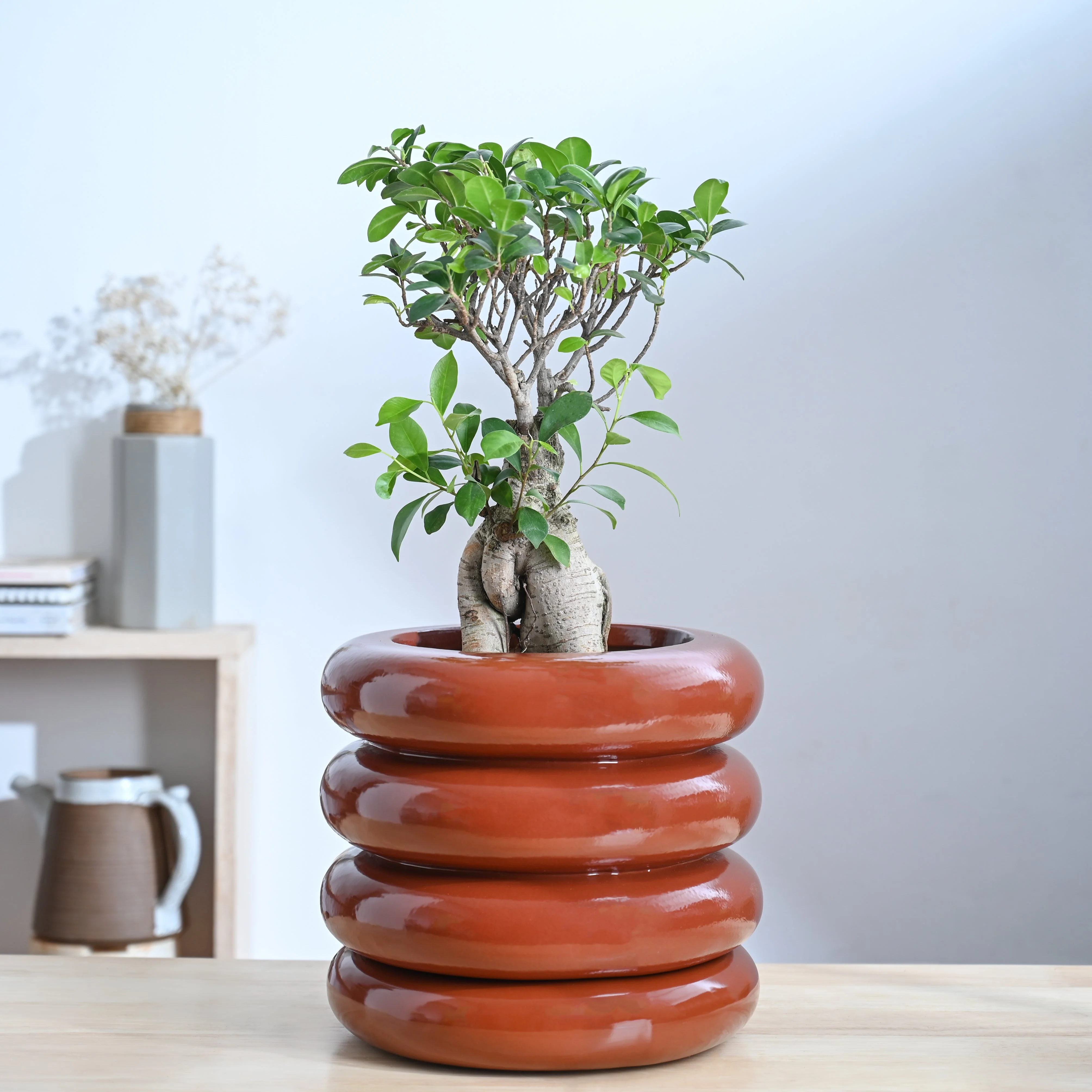 Tiny Kisses Ceramic Planter - Image 33