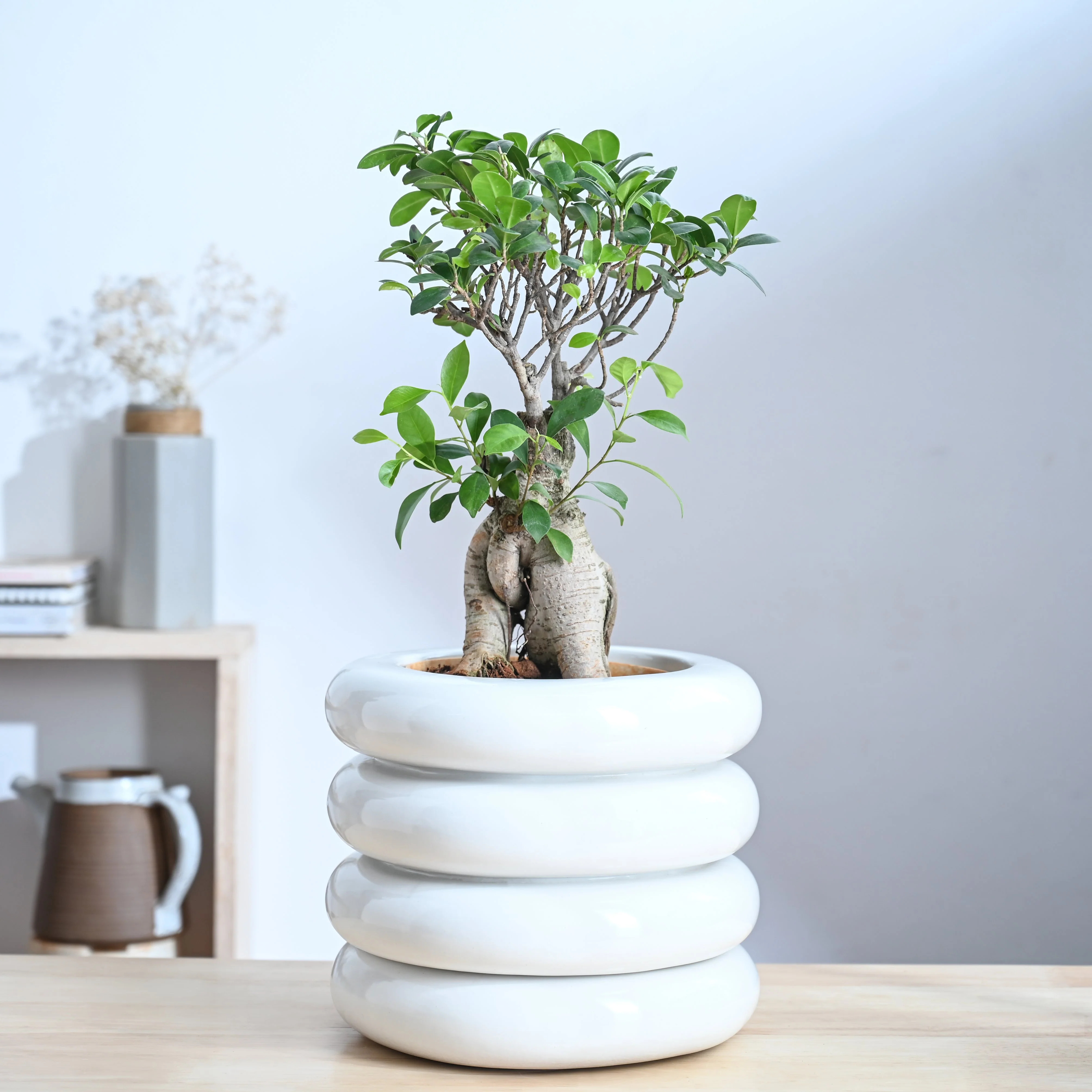 Tiny Kisses Ceramic Planter - Image 41