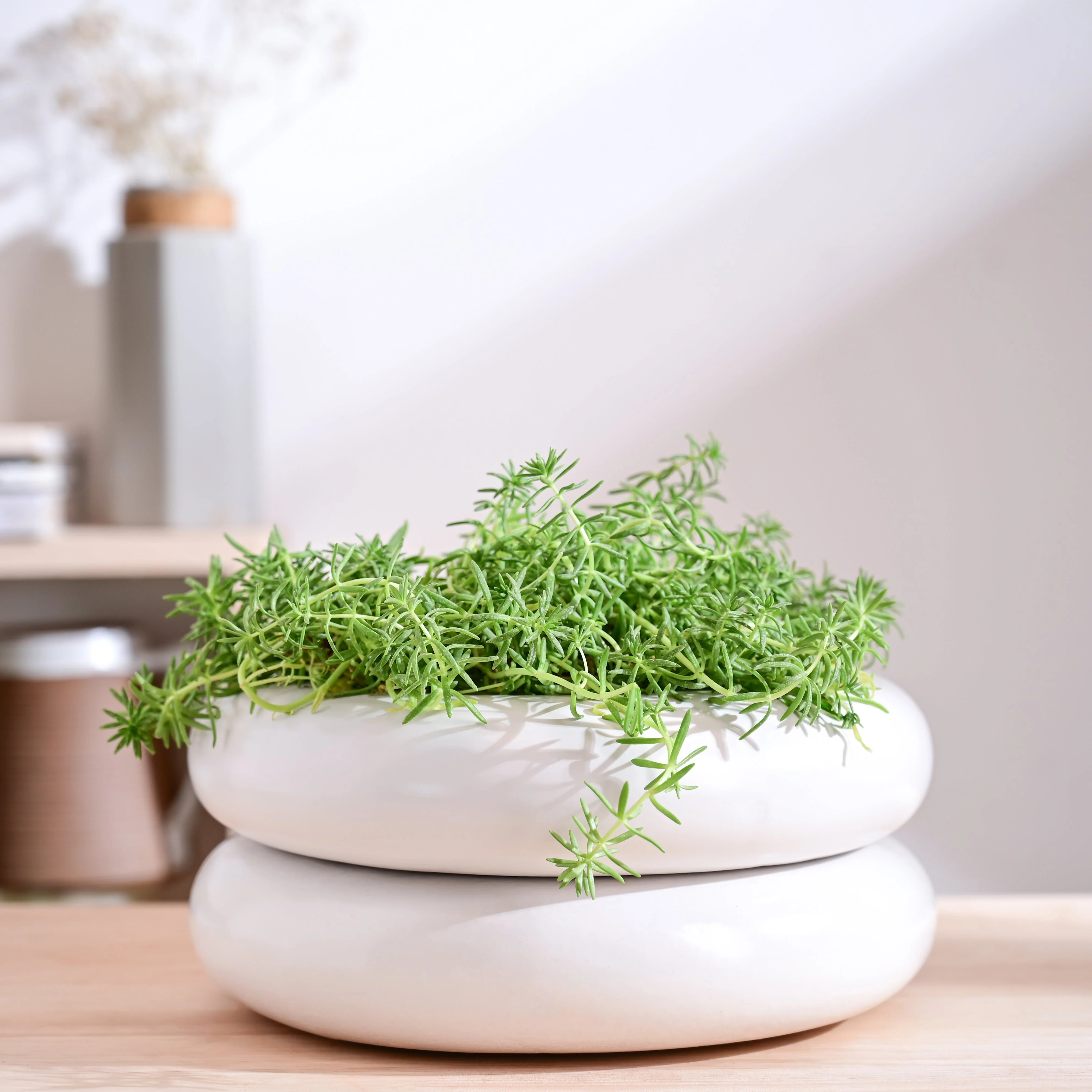 Tiny Kisses Ceramic Planter - Image 9
