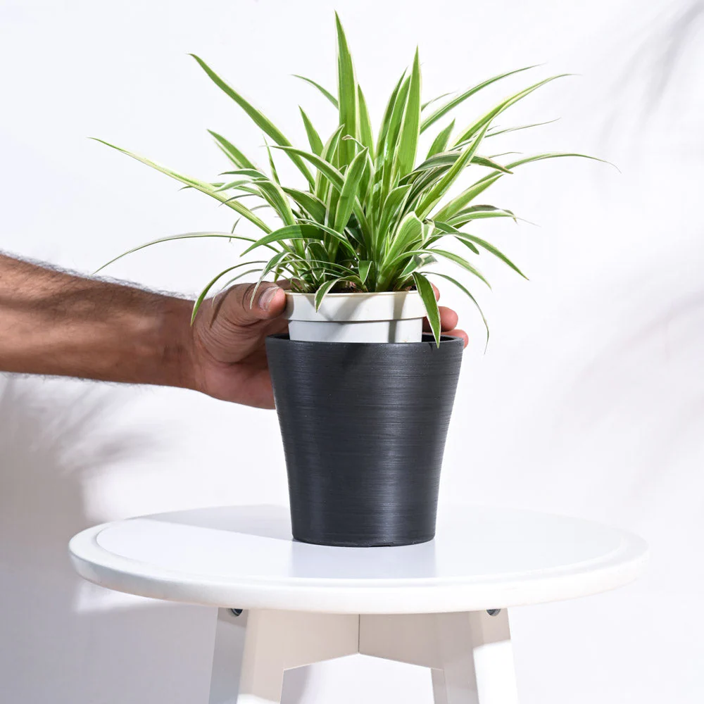 Tivoli Planter - Image 15