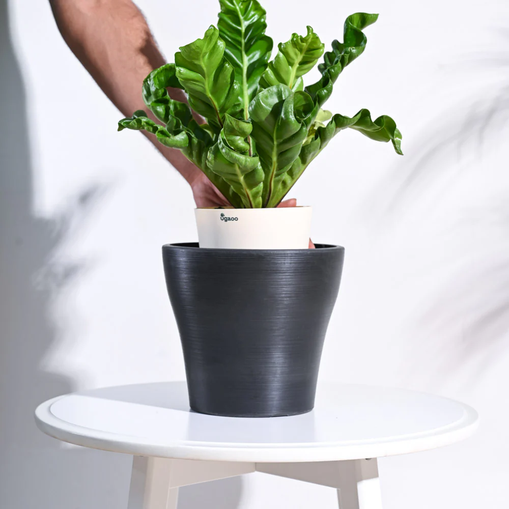 Tivoli Planter - Image 29