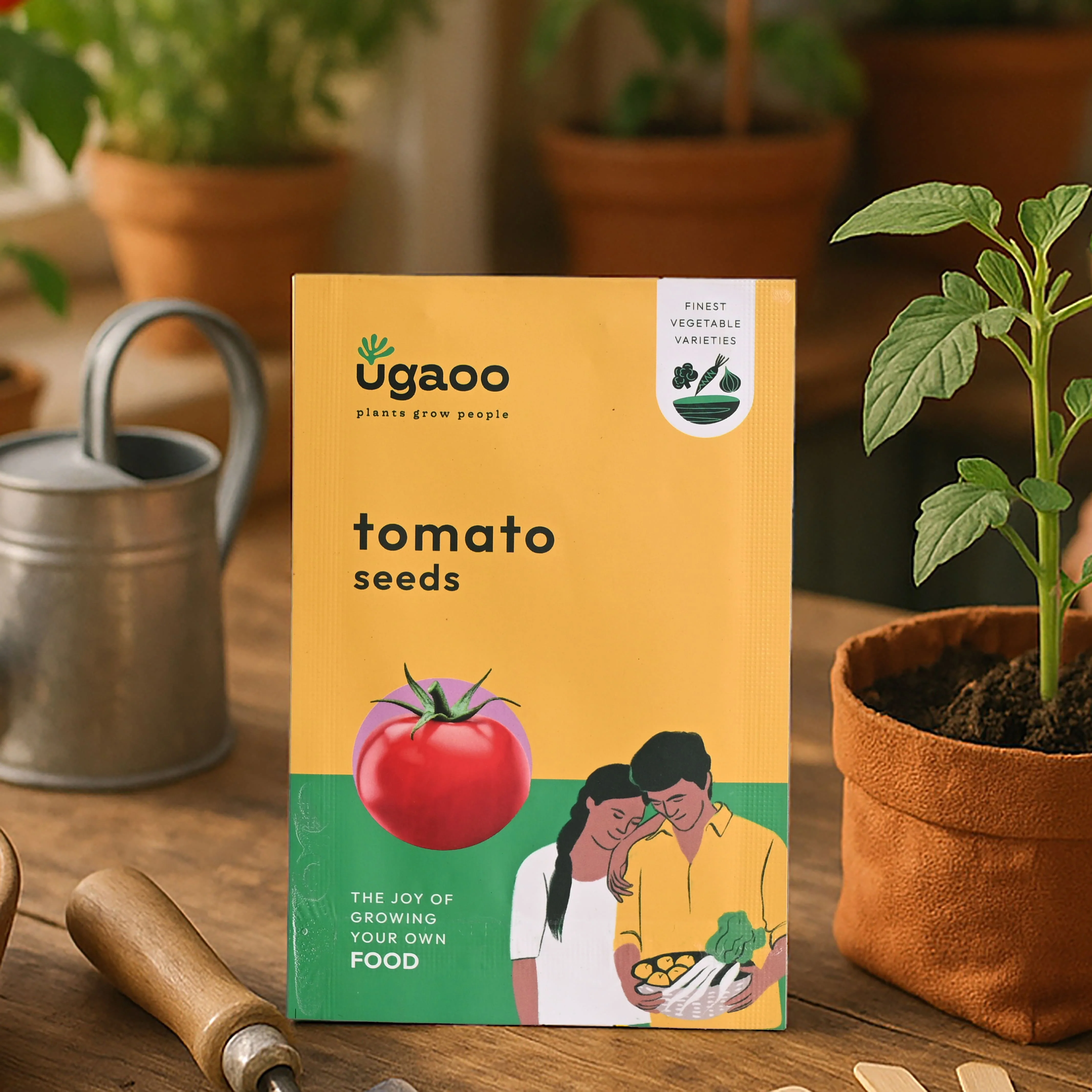 Tomato Seeds