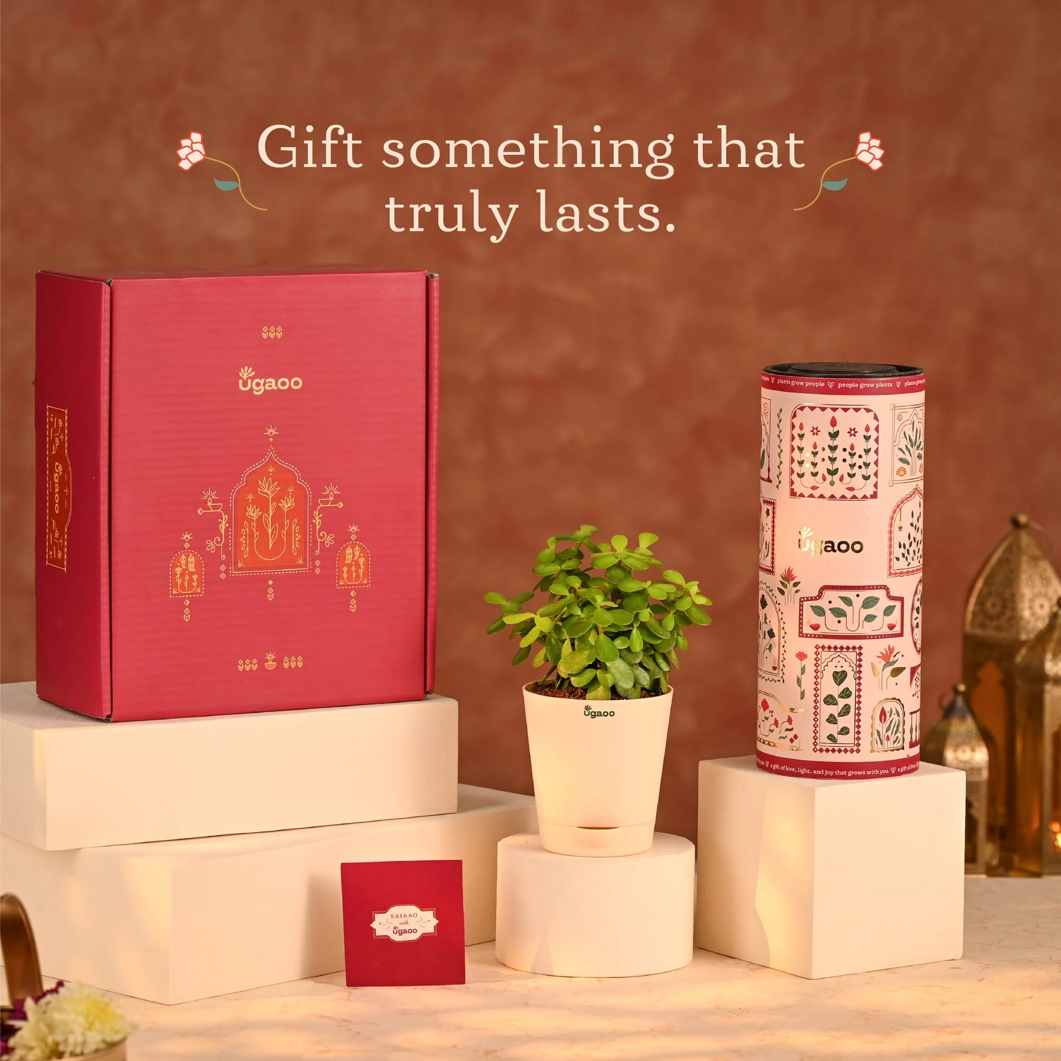 Touch of Fortune - Corporate Diwali Gift Hamper - Image 13