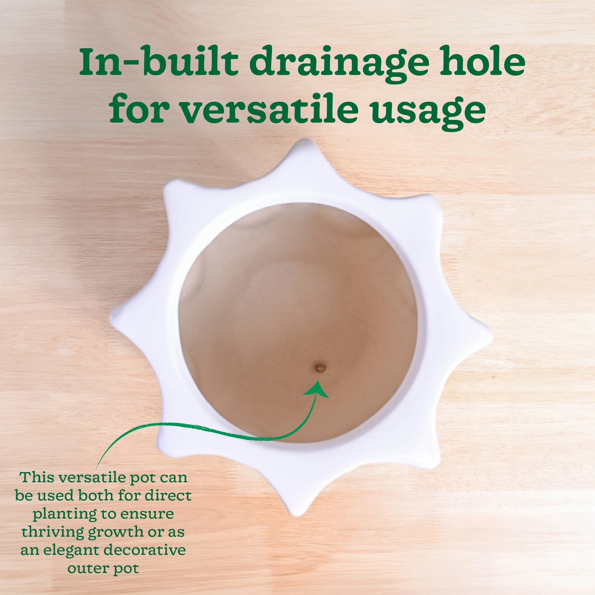 Tranquil Tales Ceramic Planter - Image 15