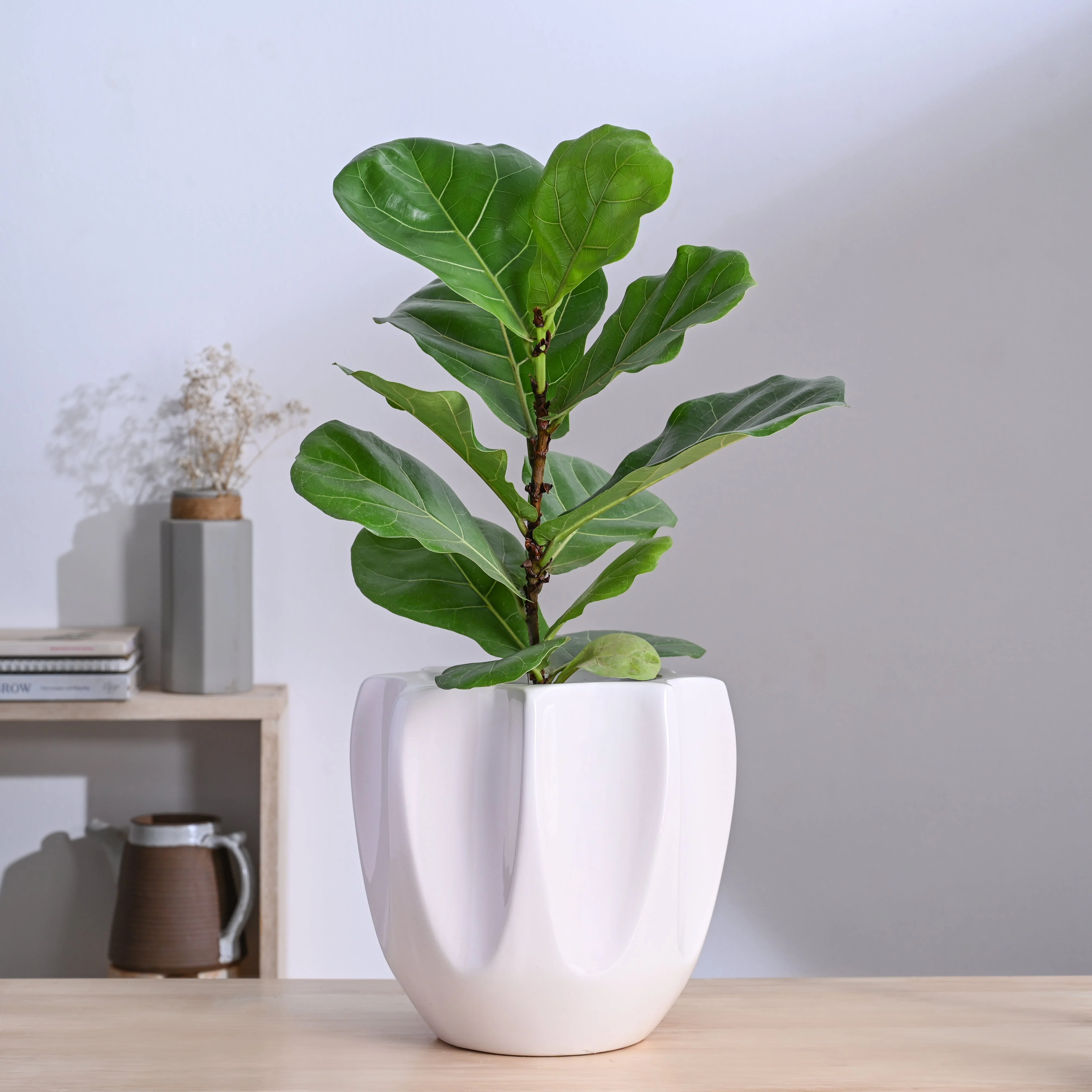 Tranquil Tales Ceramic Planter - Image 9