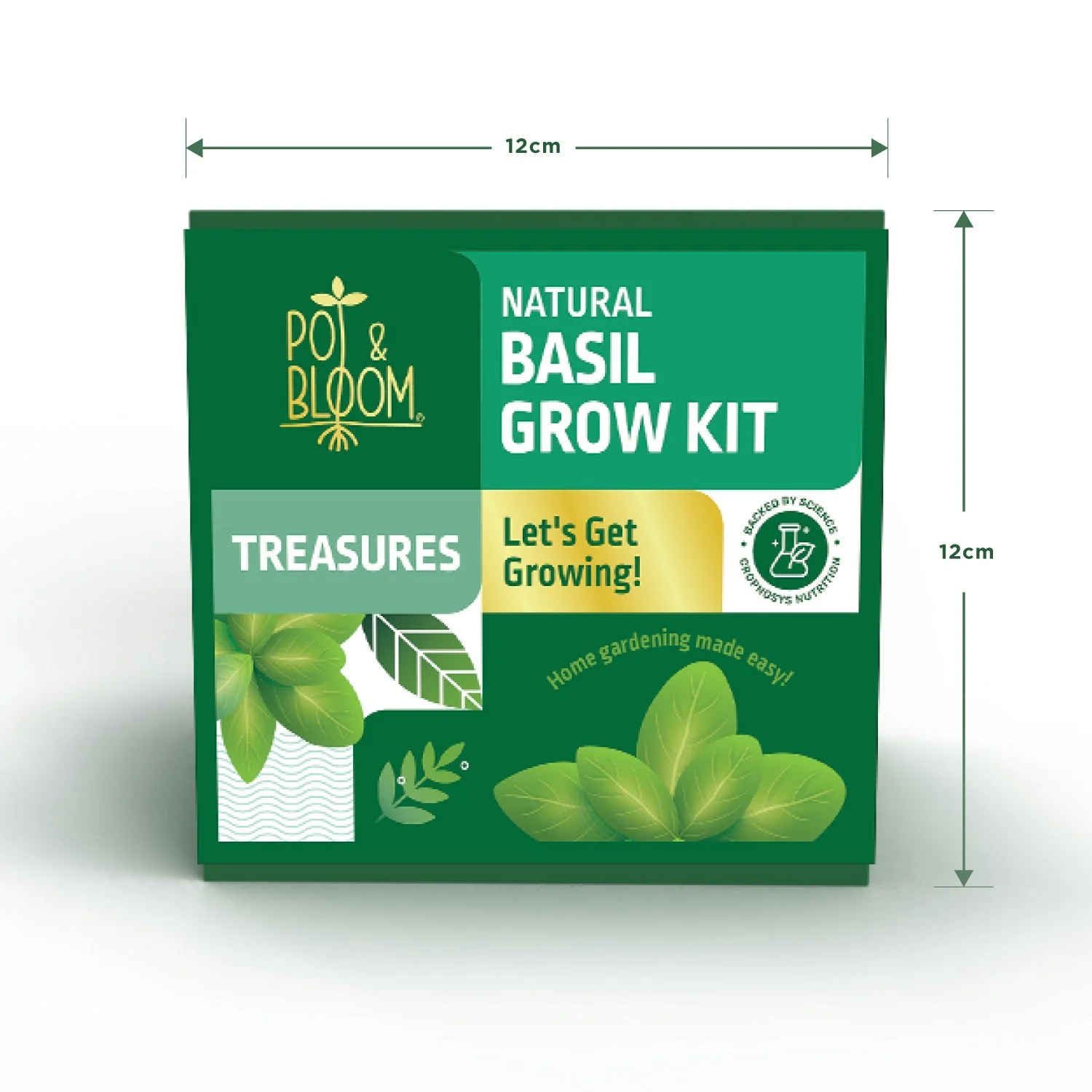 Treasures Basil Kit - Image 3