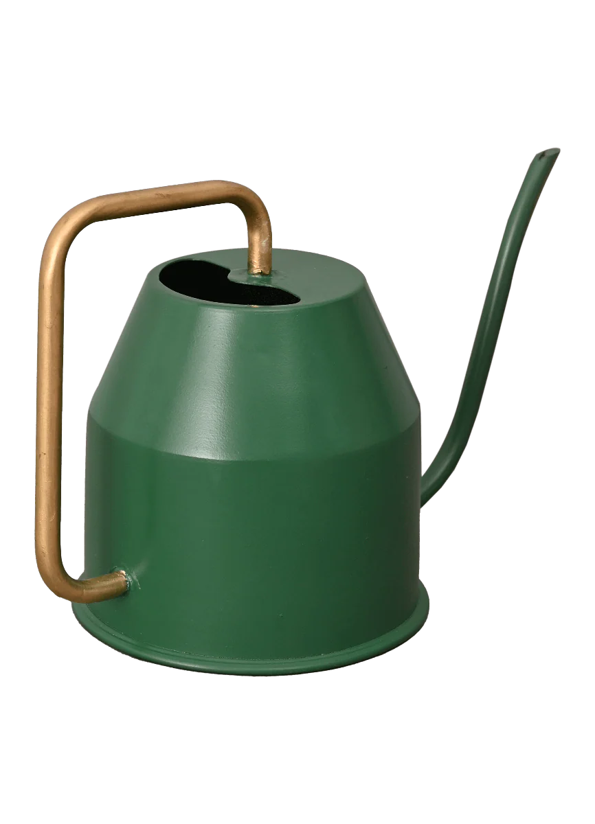 Tropical Forest Watering Can - Green & Gold - Image 3