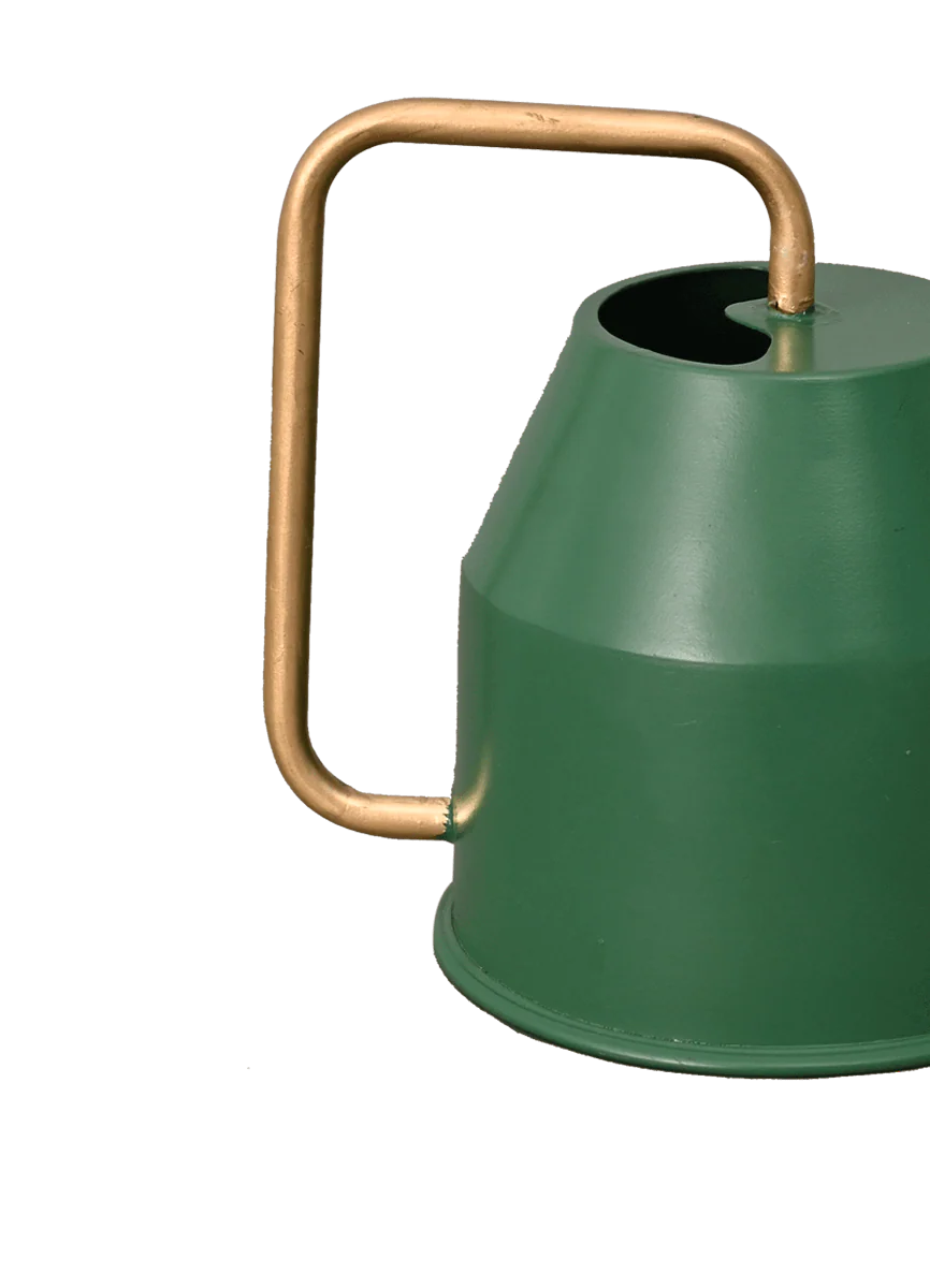 Tropical Forest Watering Can - Green & Gold - Image 4