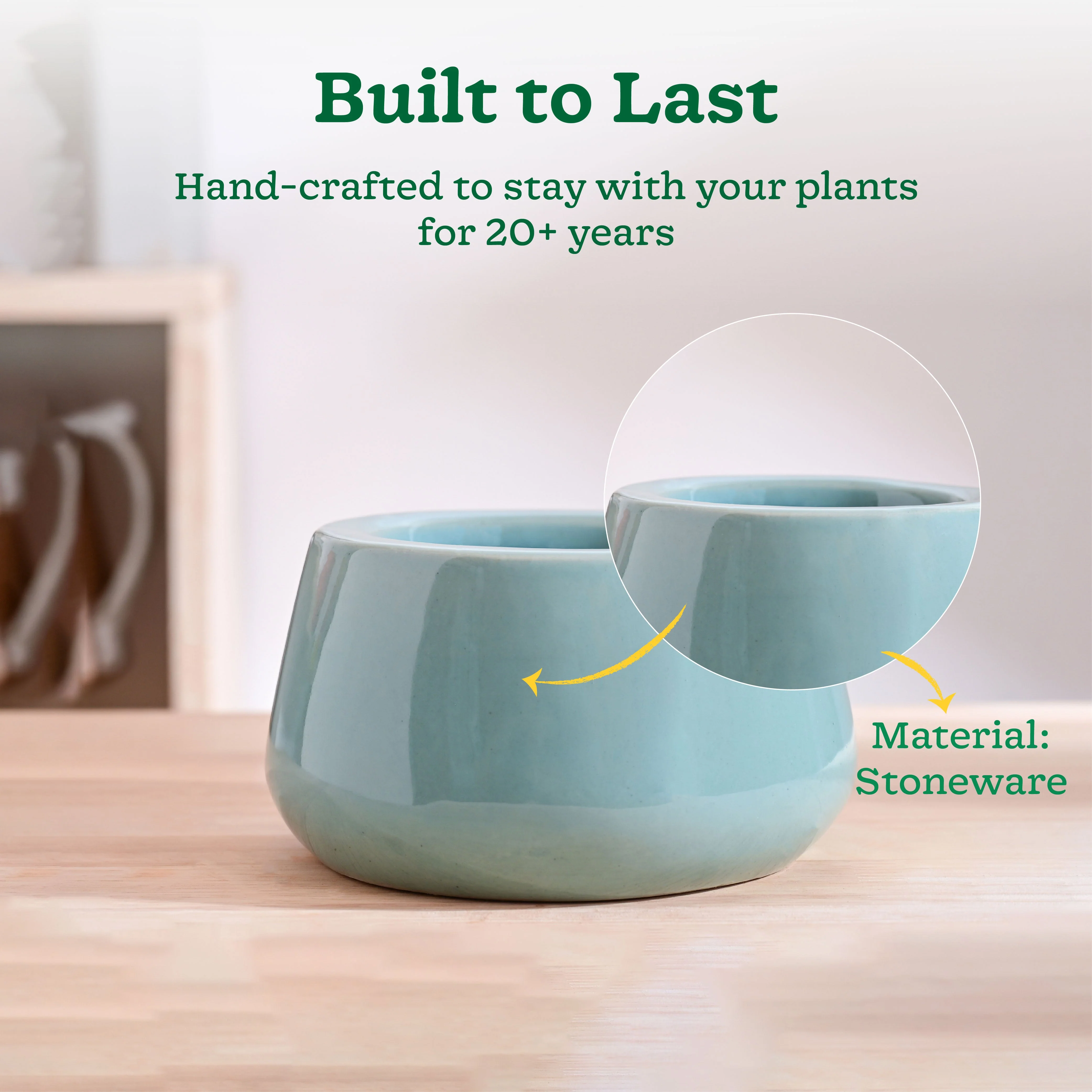 Tulip Fantasy Bowl Ceramic Planter - Image 4