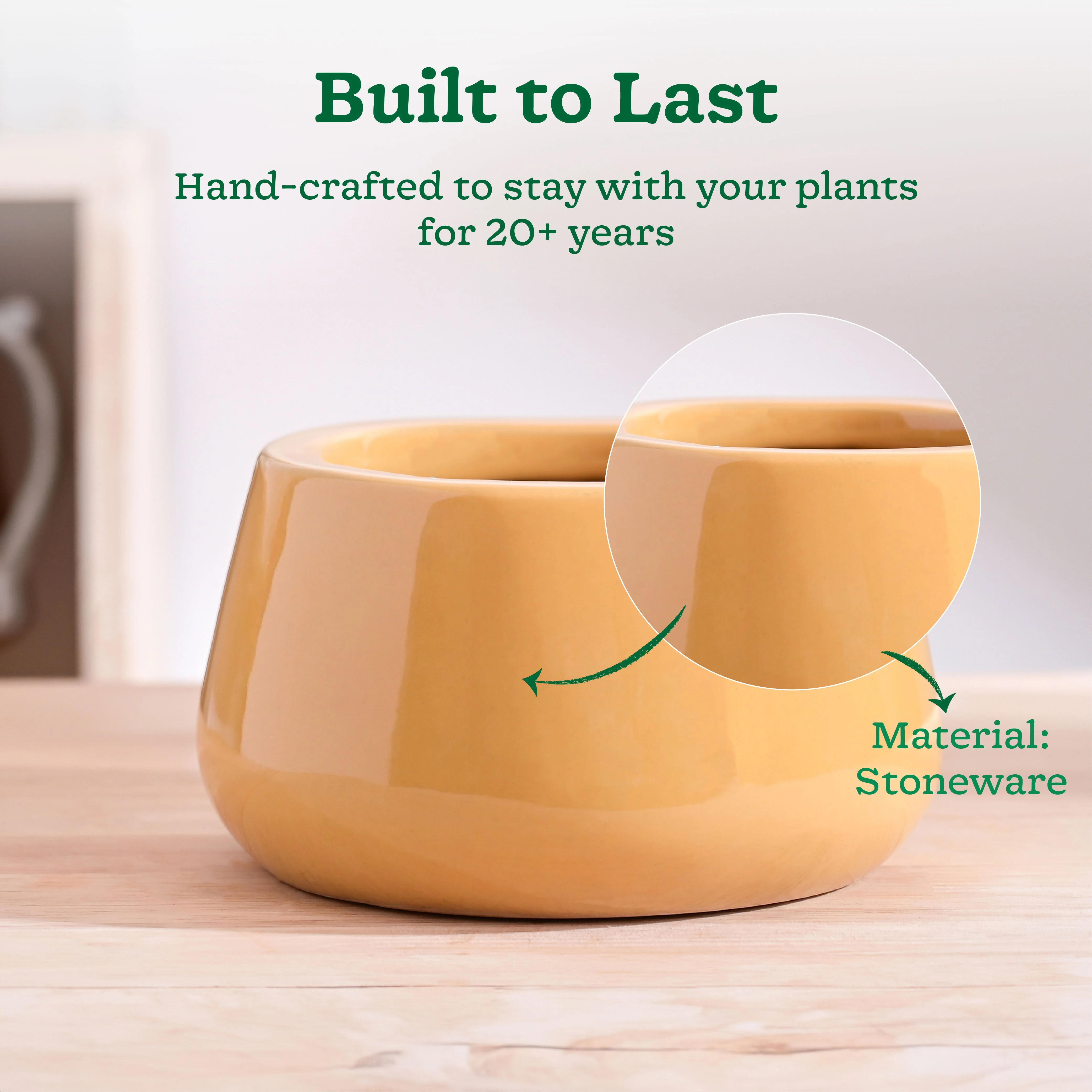 Tulip Fantasy Bowl Ceramic Planter - Image 50