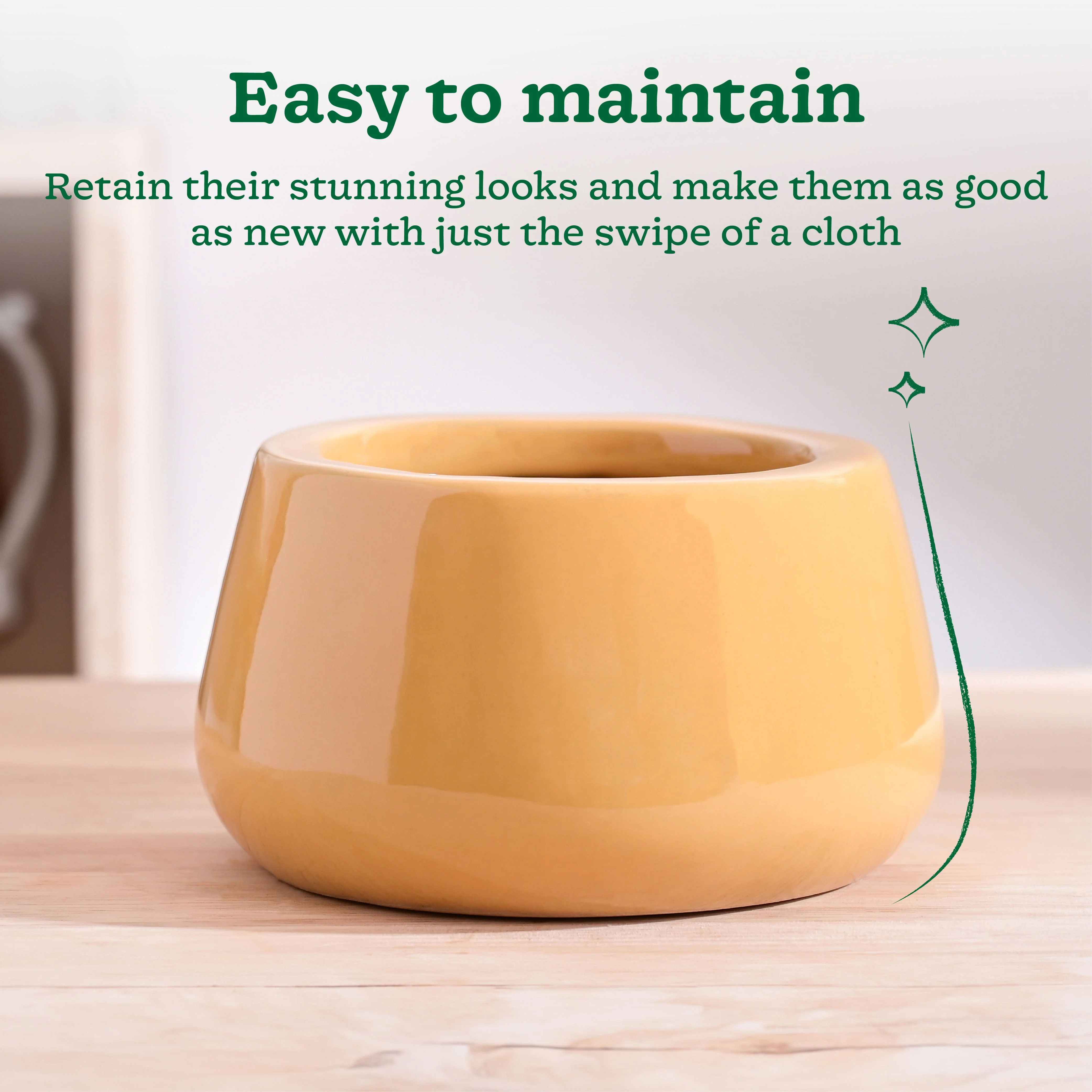 Tulip Fantasy Bowl Ceramic Planter - Image 51