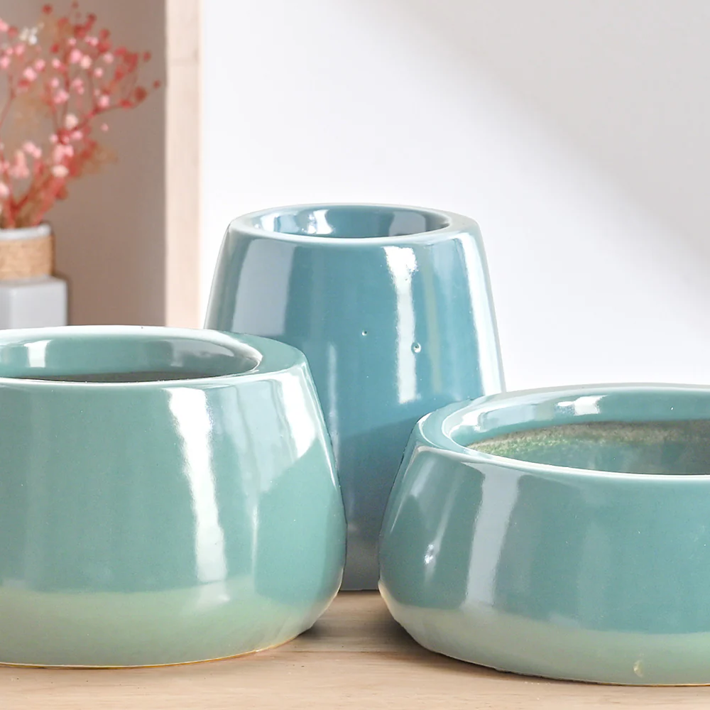 Tulip Fantasy Bundle - Aqua Green - Image 3