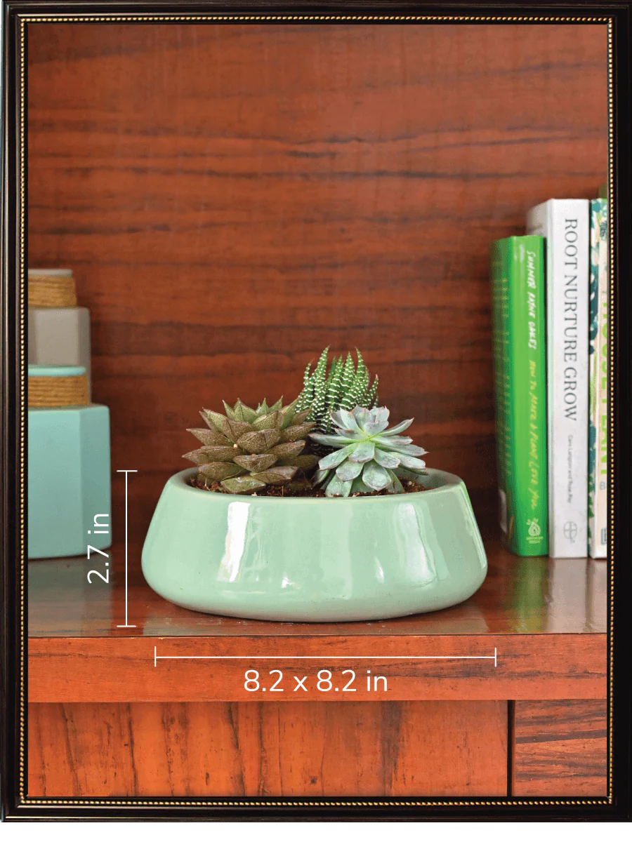Tulip Fantasy Bundle - Aqua Green - Image 6