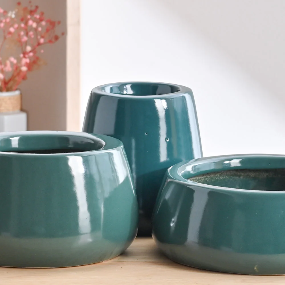 Tulip Fantasy Bundle - Dark Green - Image 3