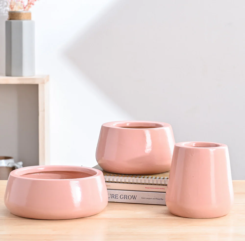 Tulip Fantasy Bundle - Light Pink - Image 2