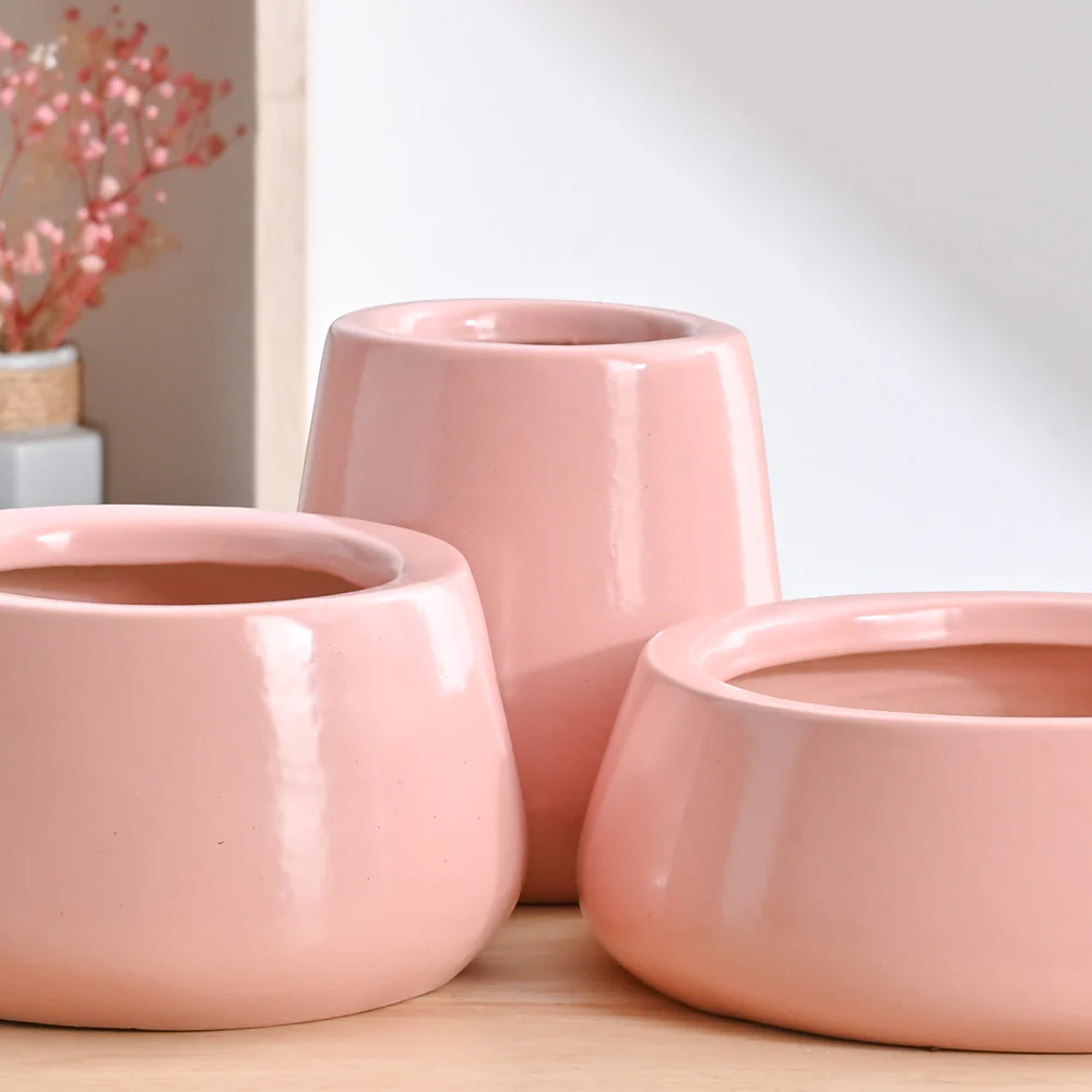 Tulip Fantasy Bundle - Light Pink - Image 3