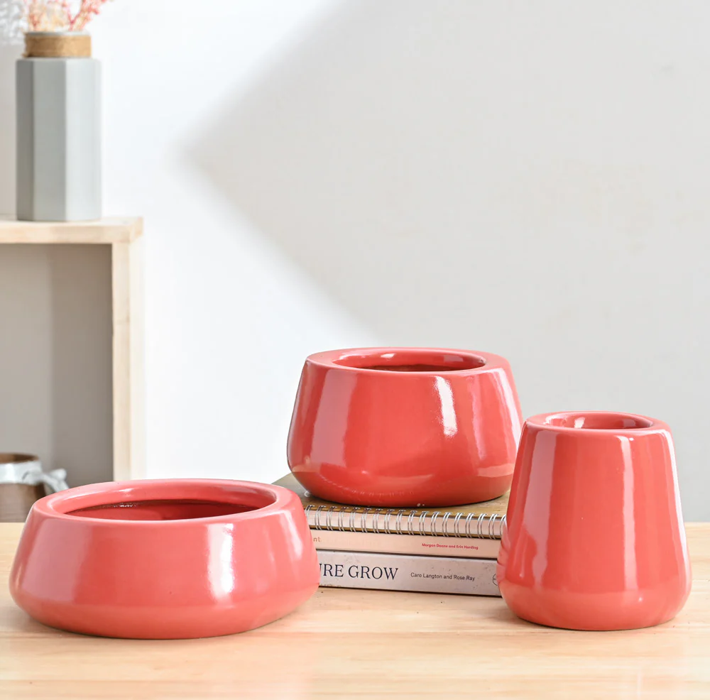 Tulip Fantasy Bundle - Light Red - Image 2