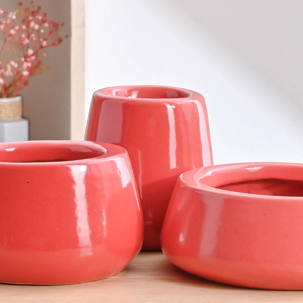 Tulip Fantasy Bundle - Light Red - Image 3