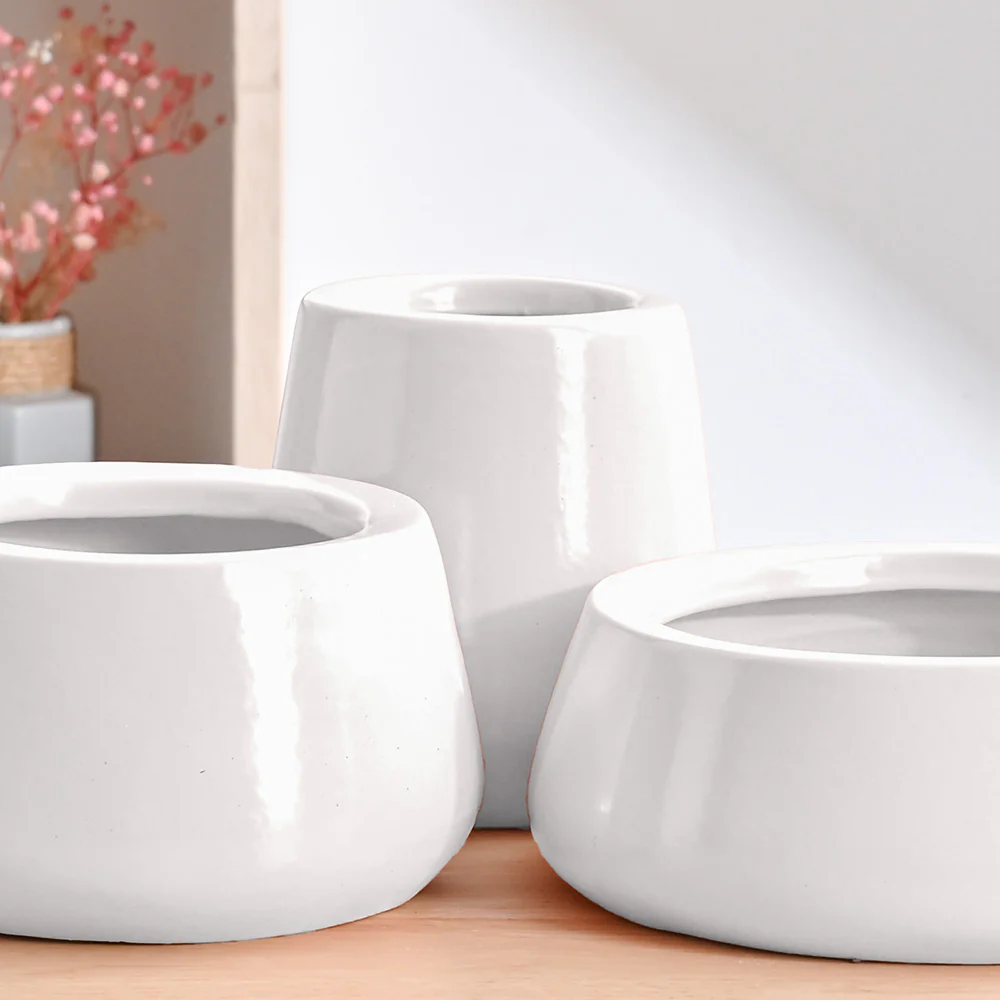 Tulip Fantasy Bundle - White - Image 3