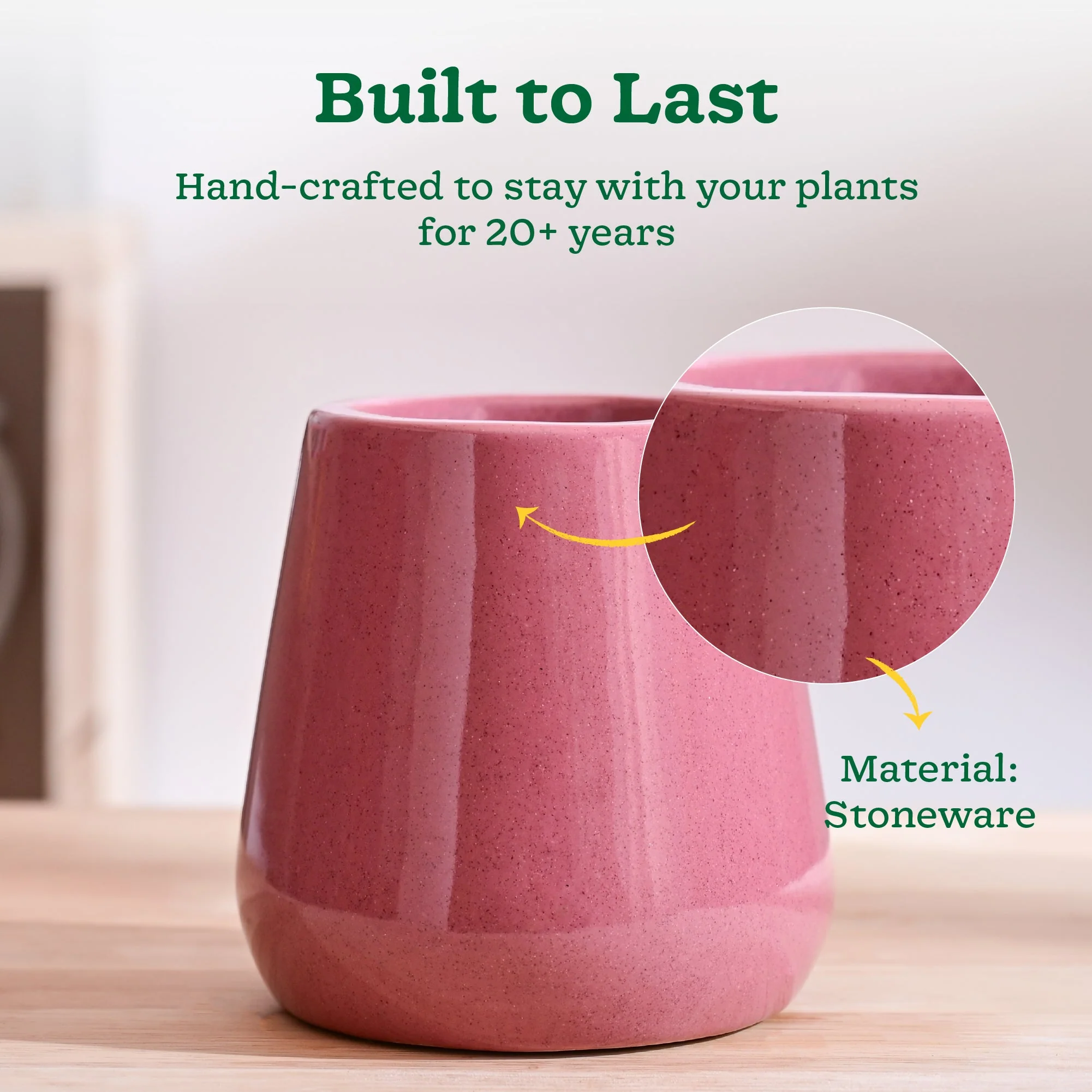 Tulip Fantasy Extra Small Ceramic Planter - Image 19