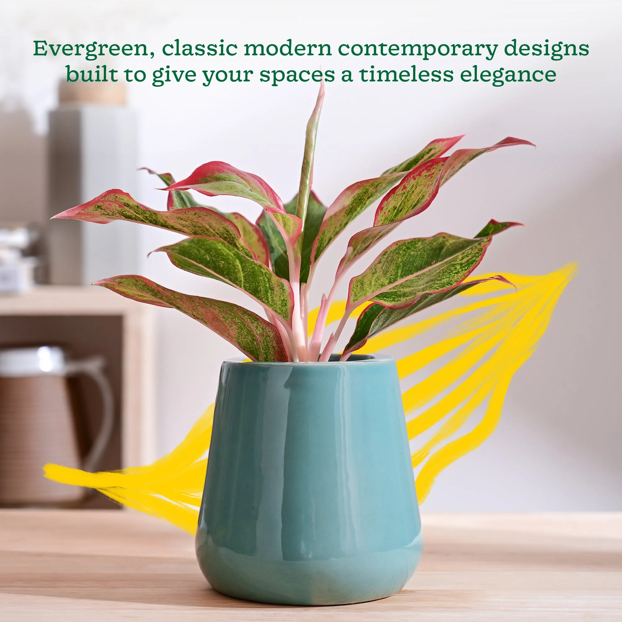 Tulip Fantasy Extra Small Ceramic Planter - Image 26