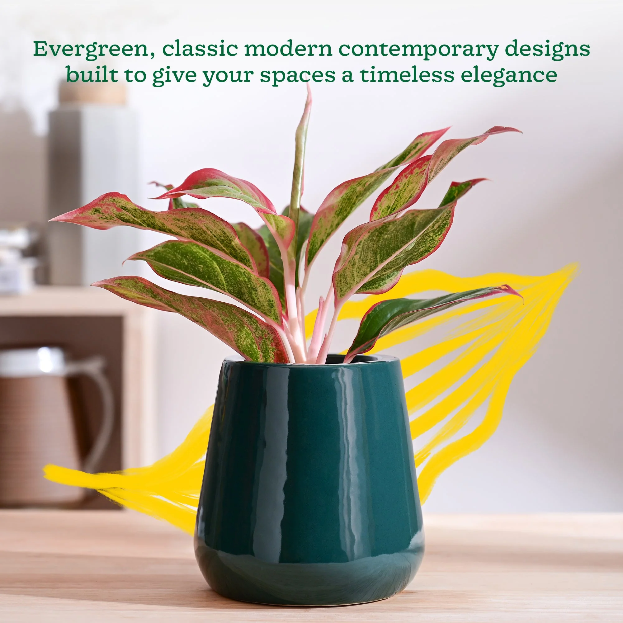 Tulip Fantasy Extra Small Ceramic Planter - Image 34
